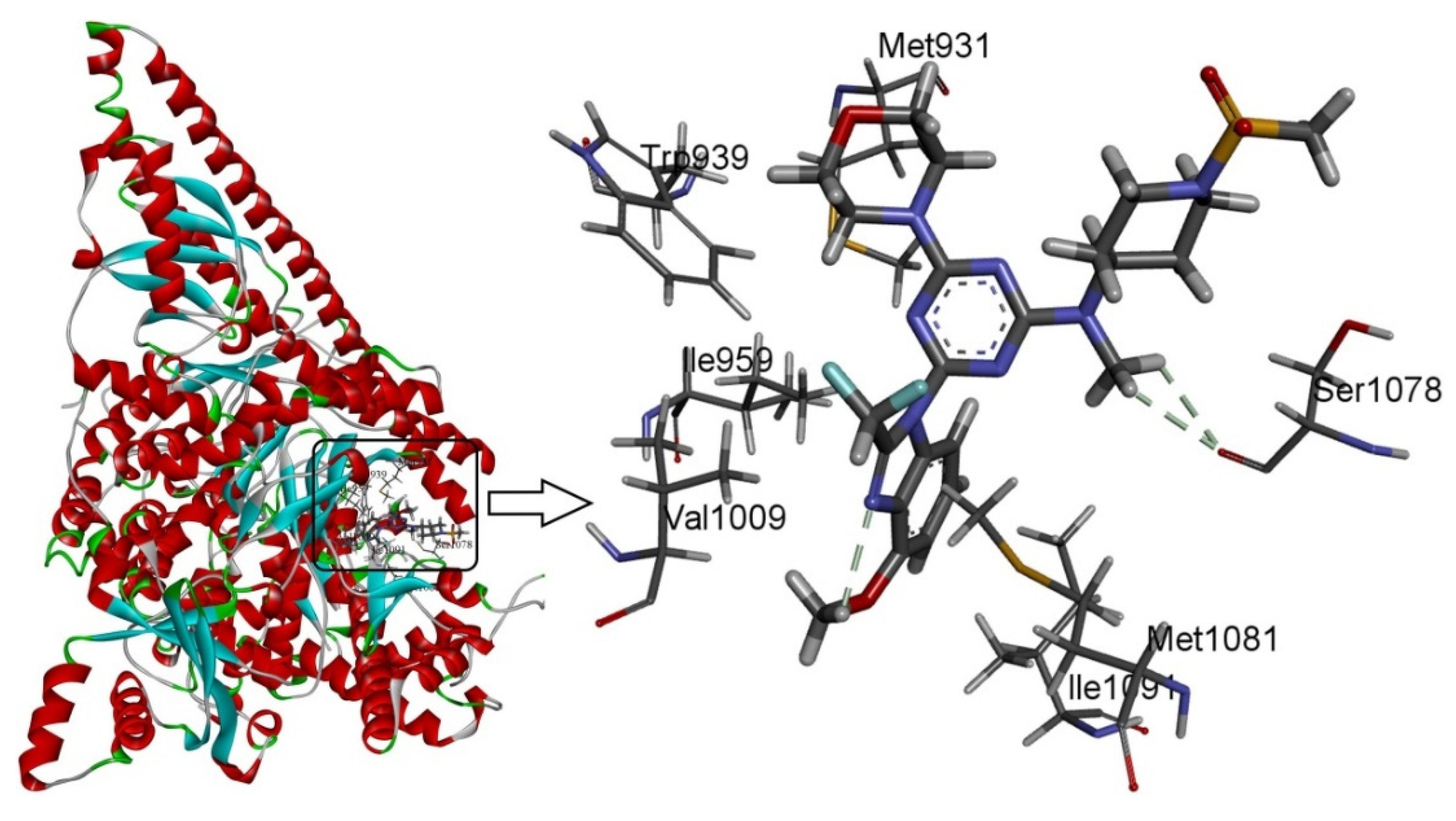 Molecules 27 00387 g005