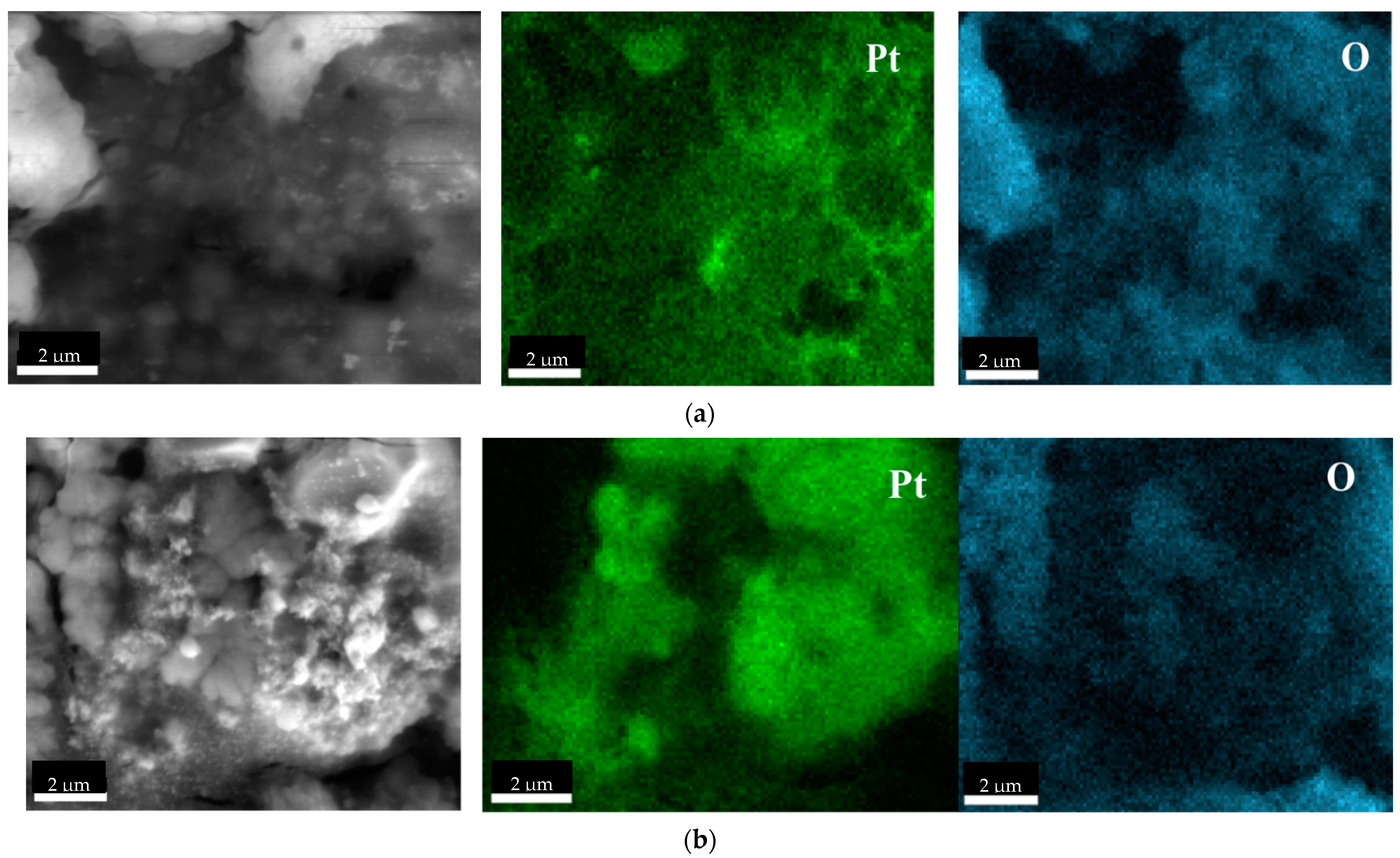 Molecules 27 00390 g005 550