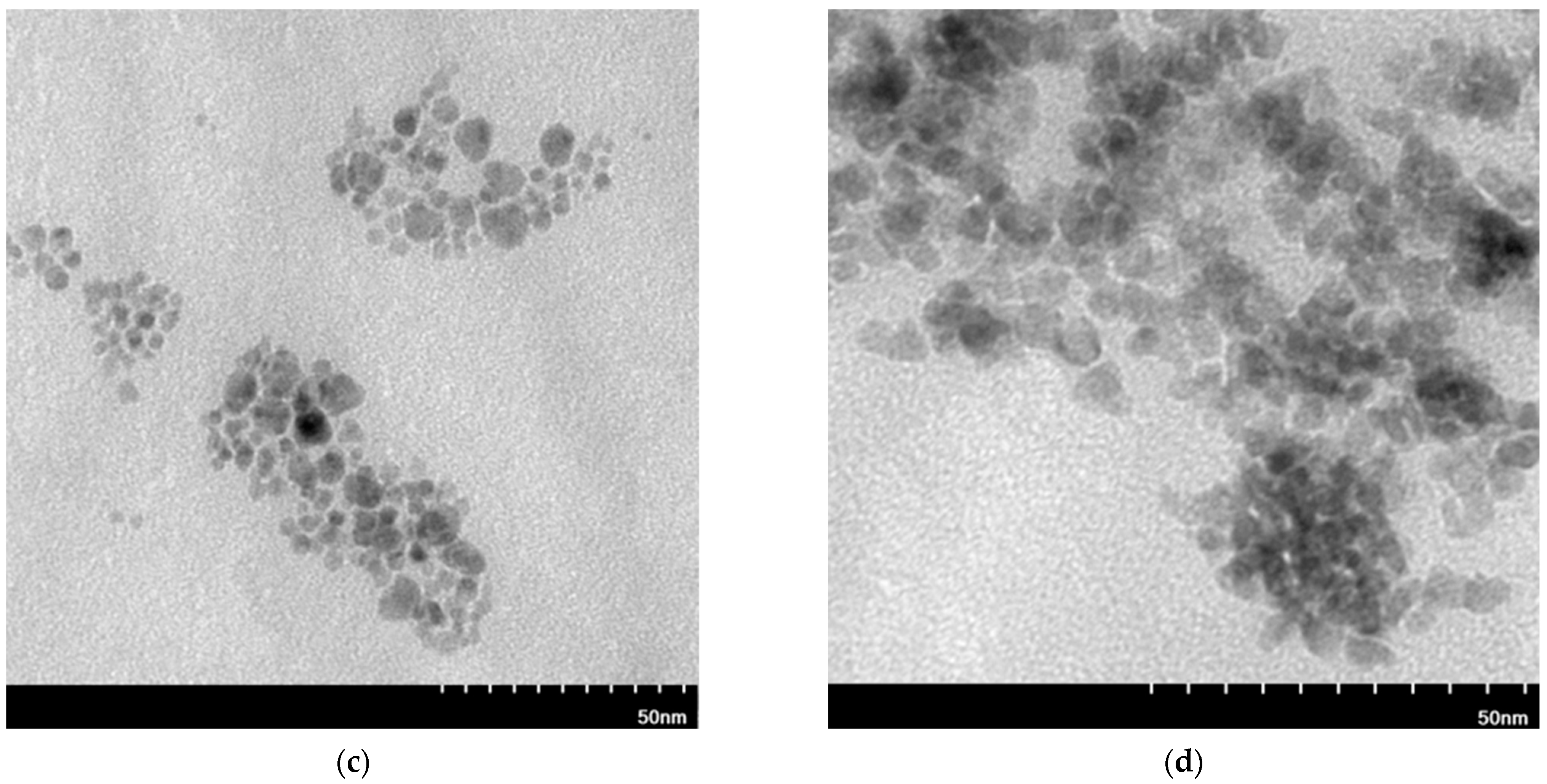 Molecules 27 00390 g006b 550