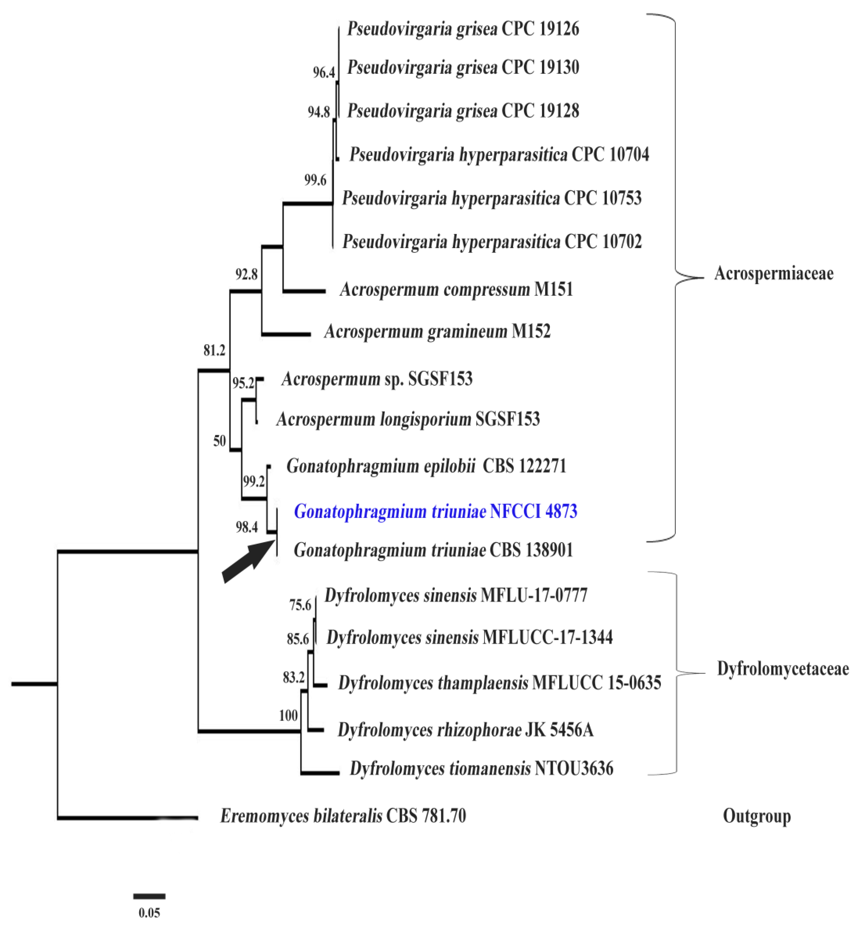 Molecules 27 00393 g002 550
