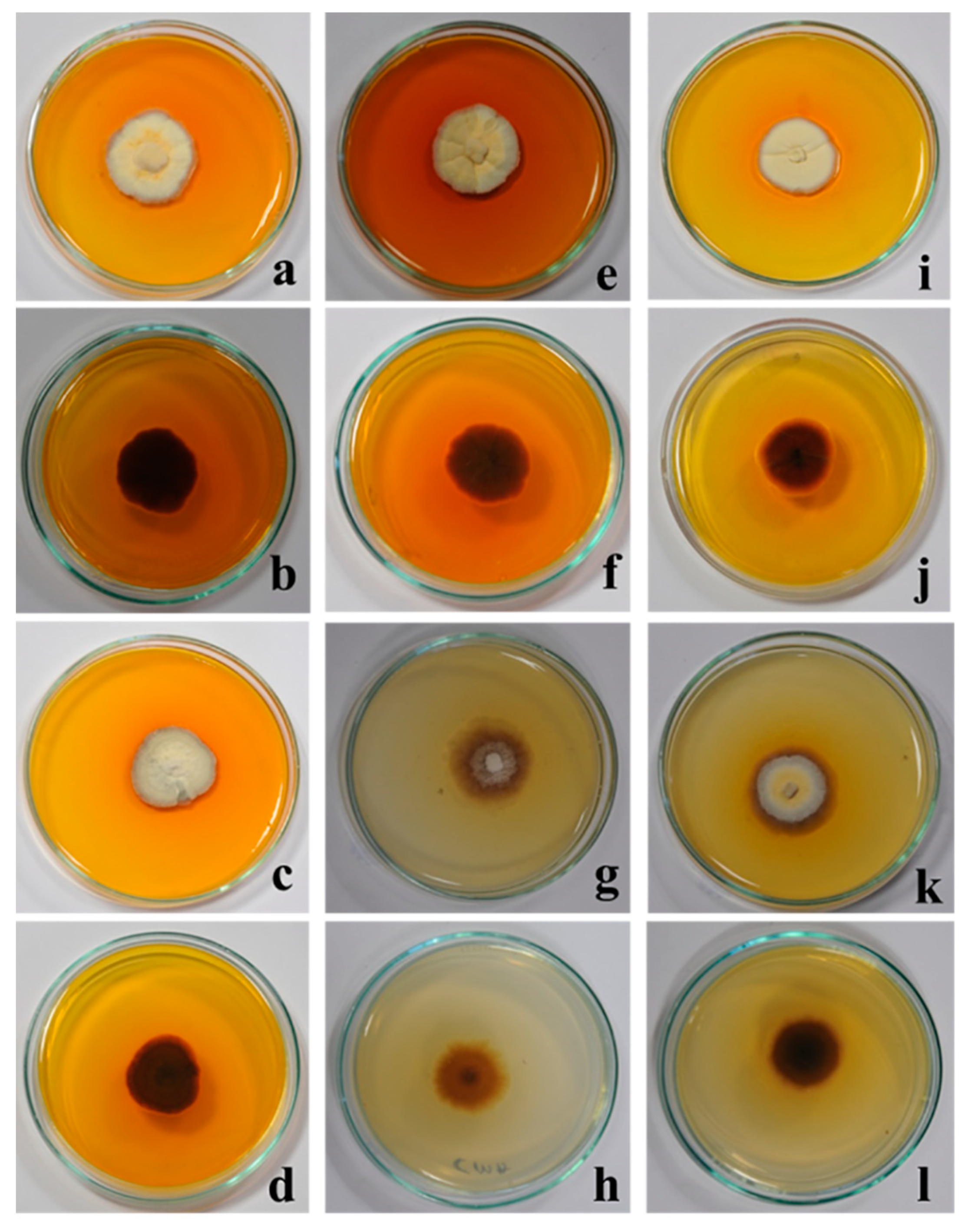 Molecules 27 00393 g003 550