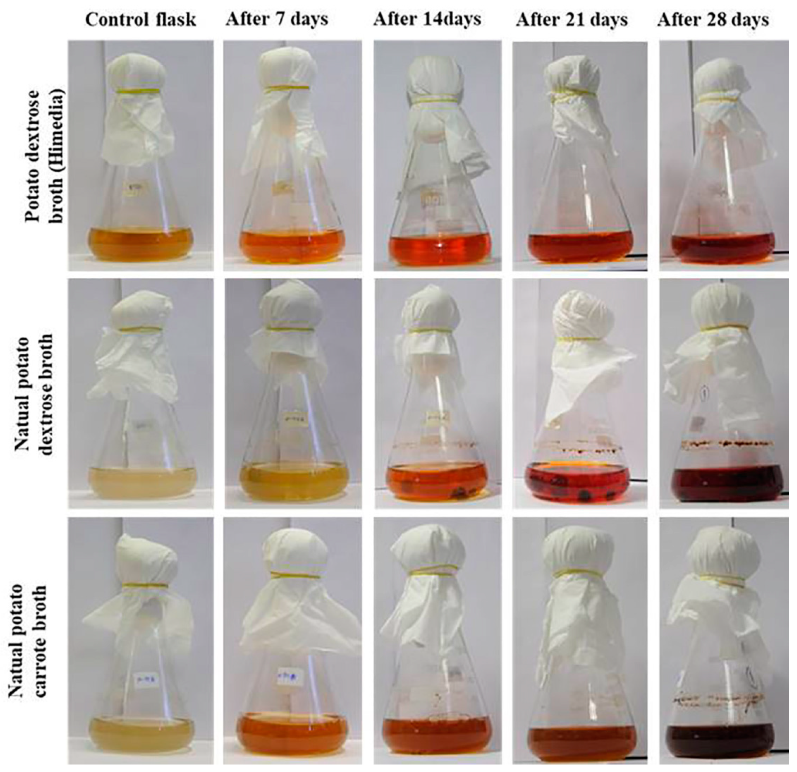 Molecules 27 00393 g004 550