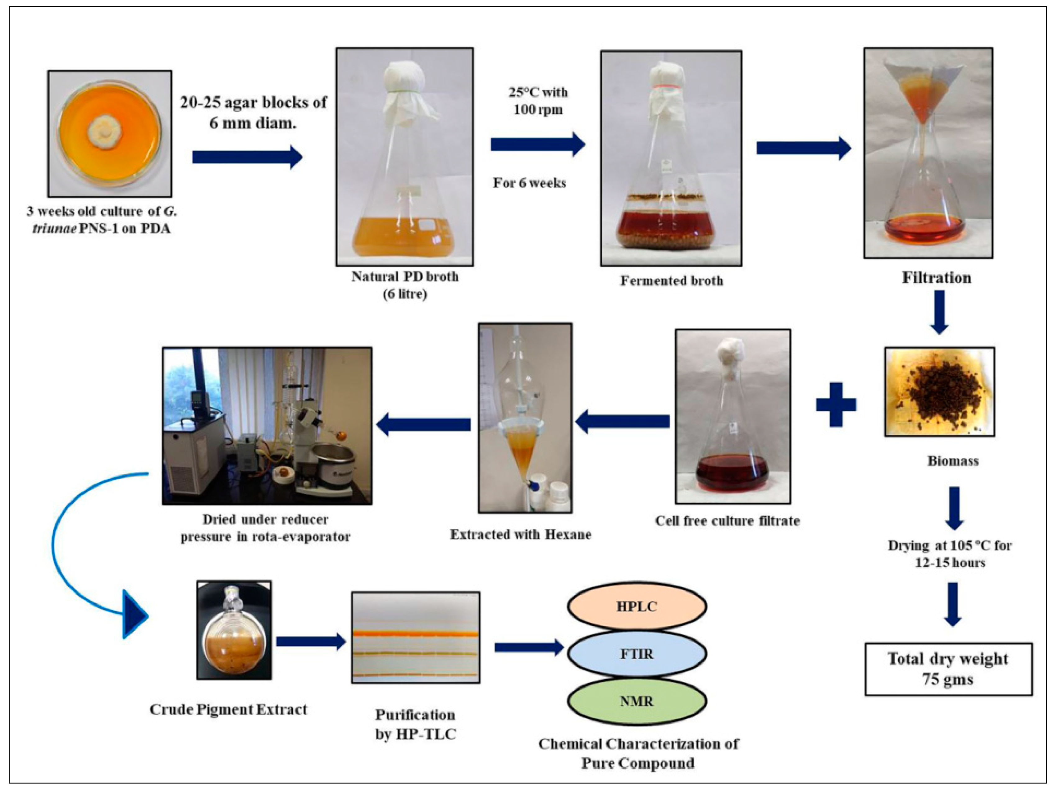 Molecules 27 00393 g006 550