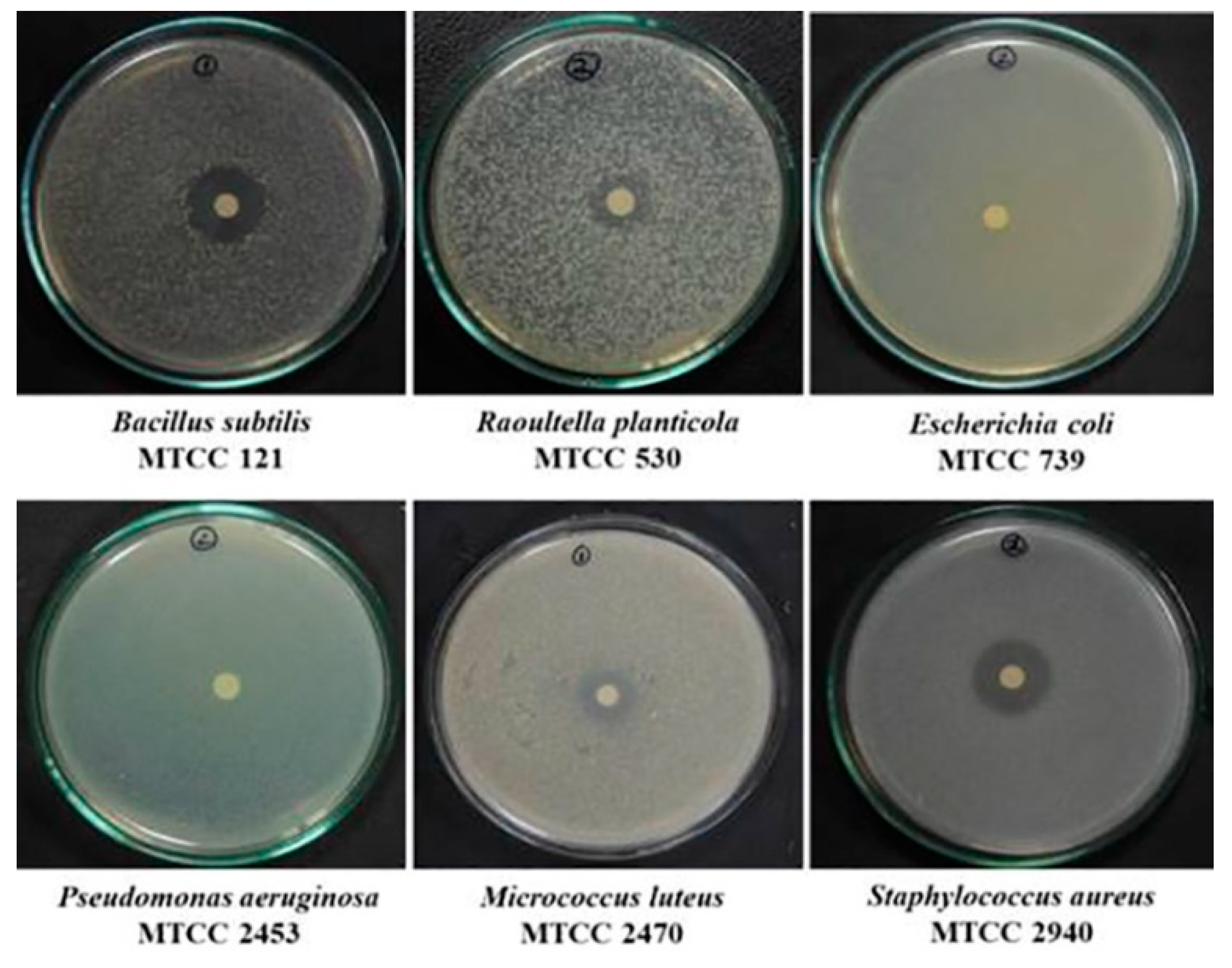 Molecules 27 00393 g010 550