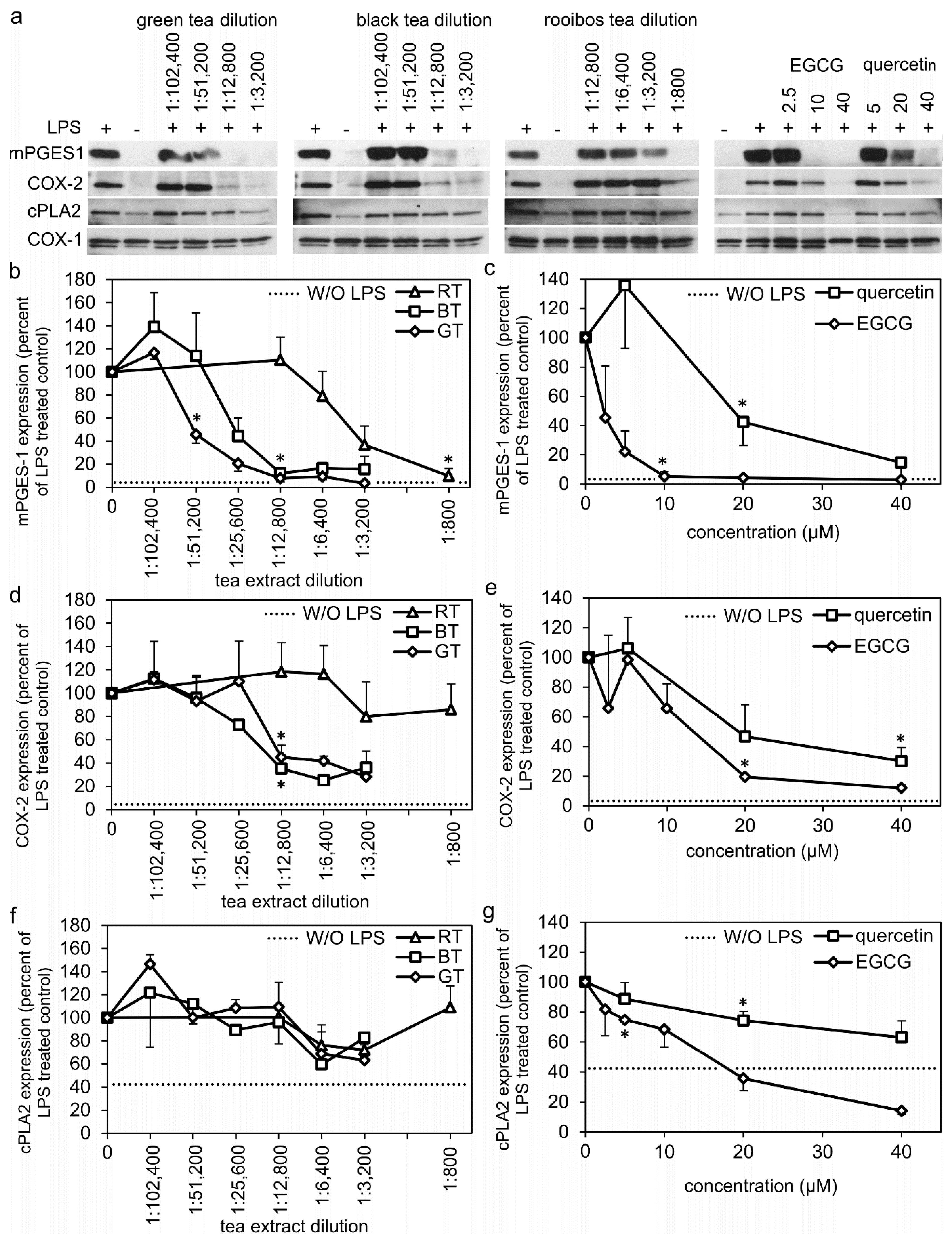 Molecules 27 00397 g002