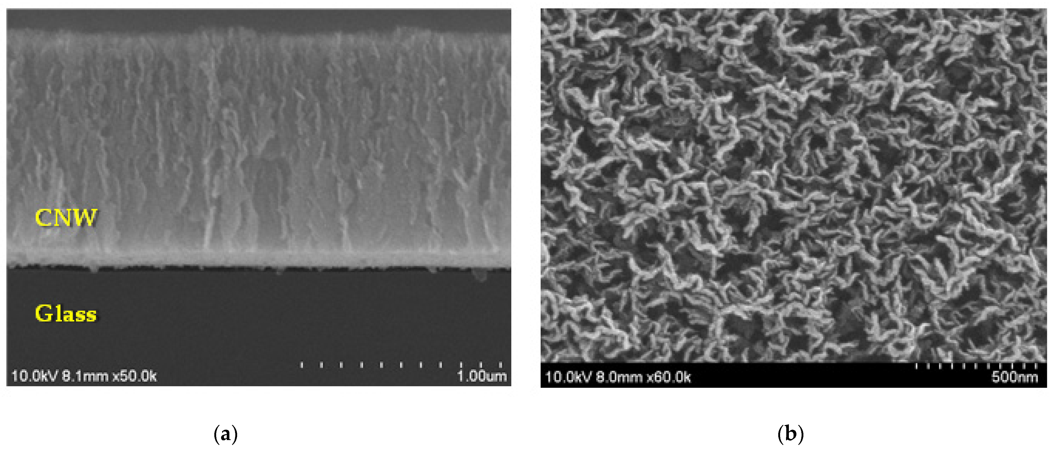 Molecules 27 00406 g001
