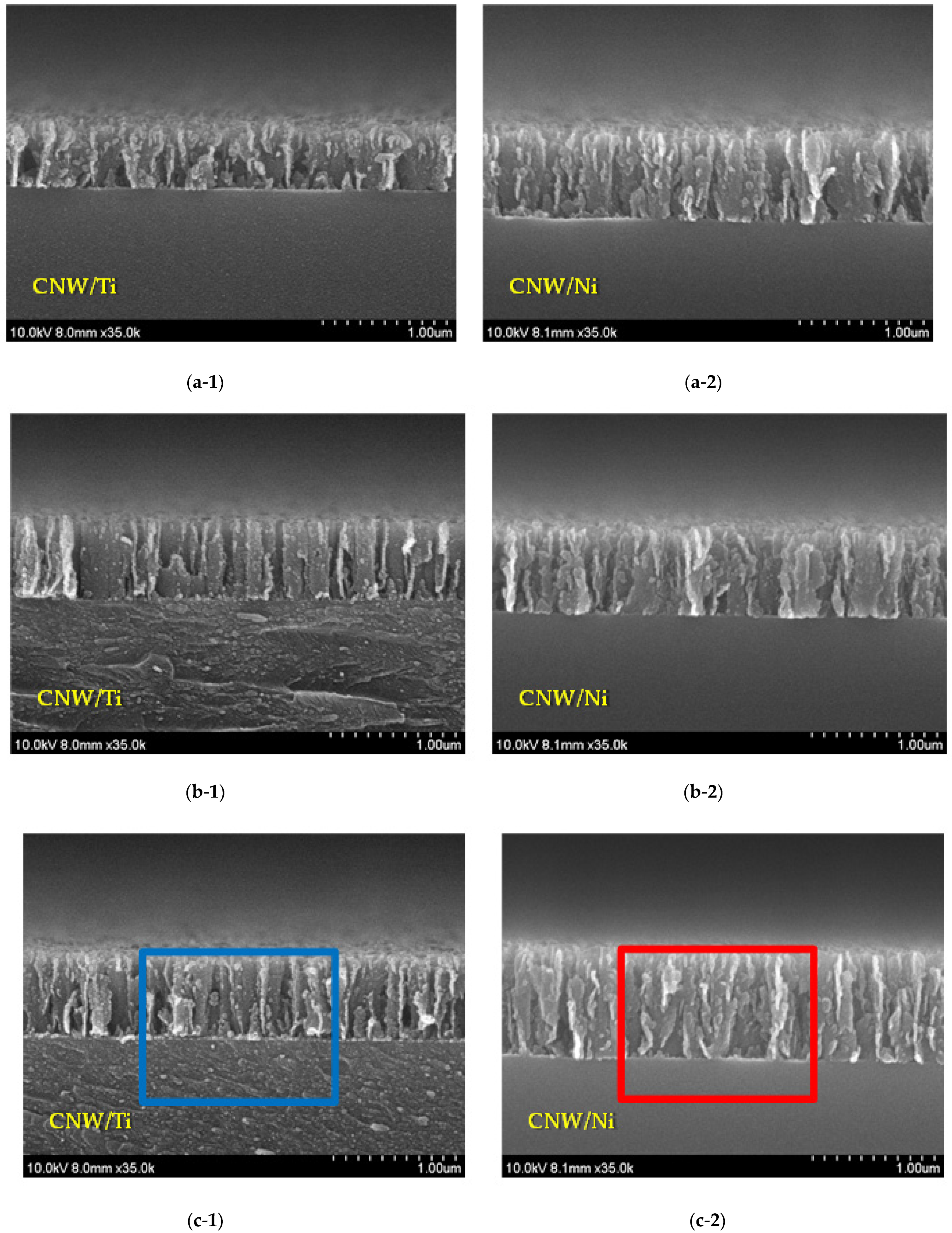 Molecules 27 00406 g003a
