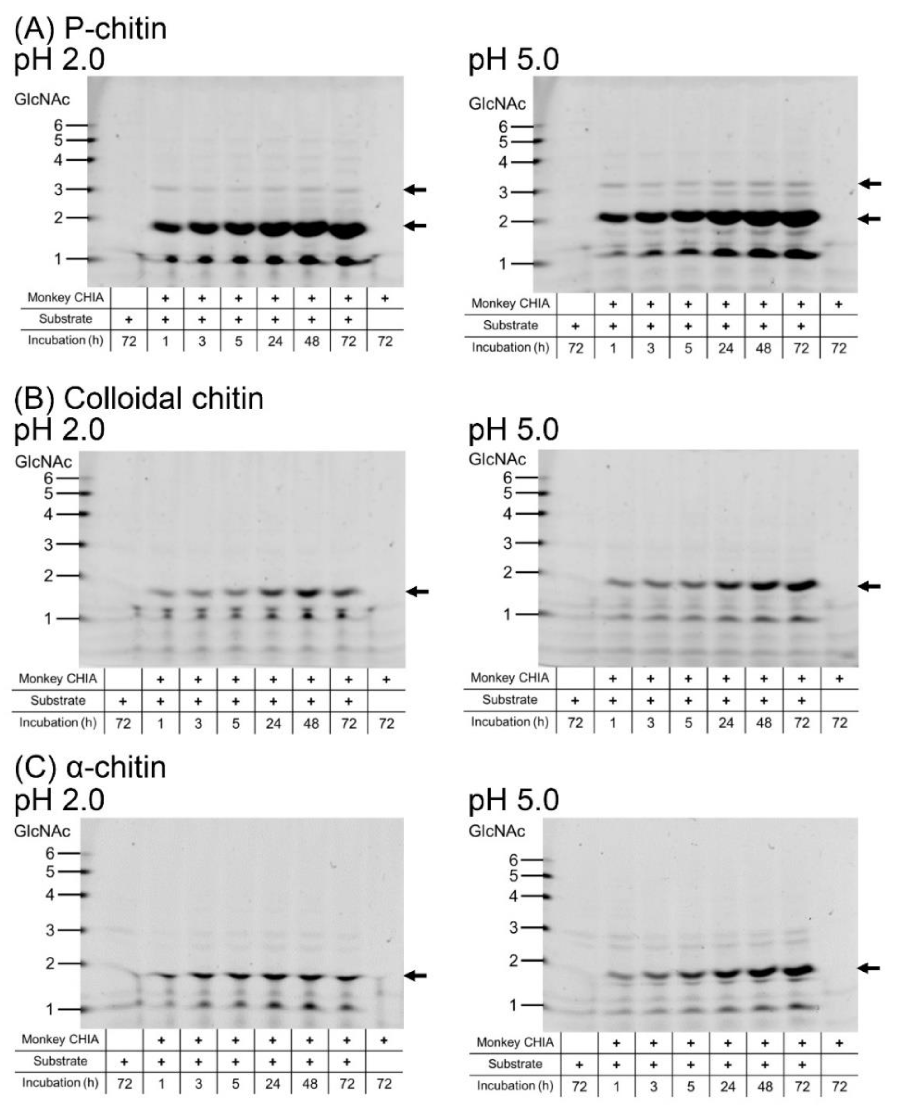 Molecules 27 00409 g002