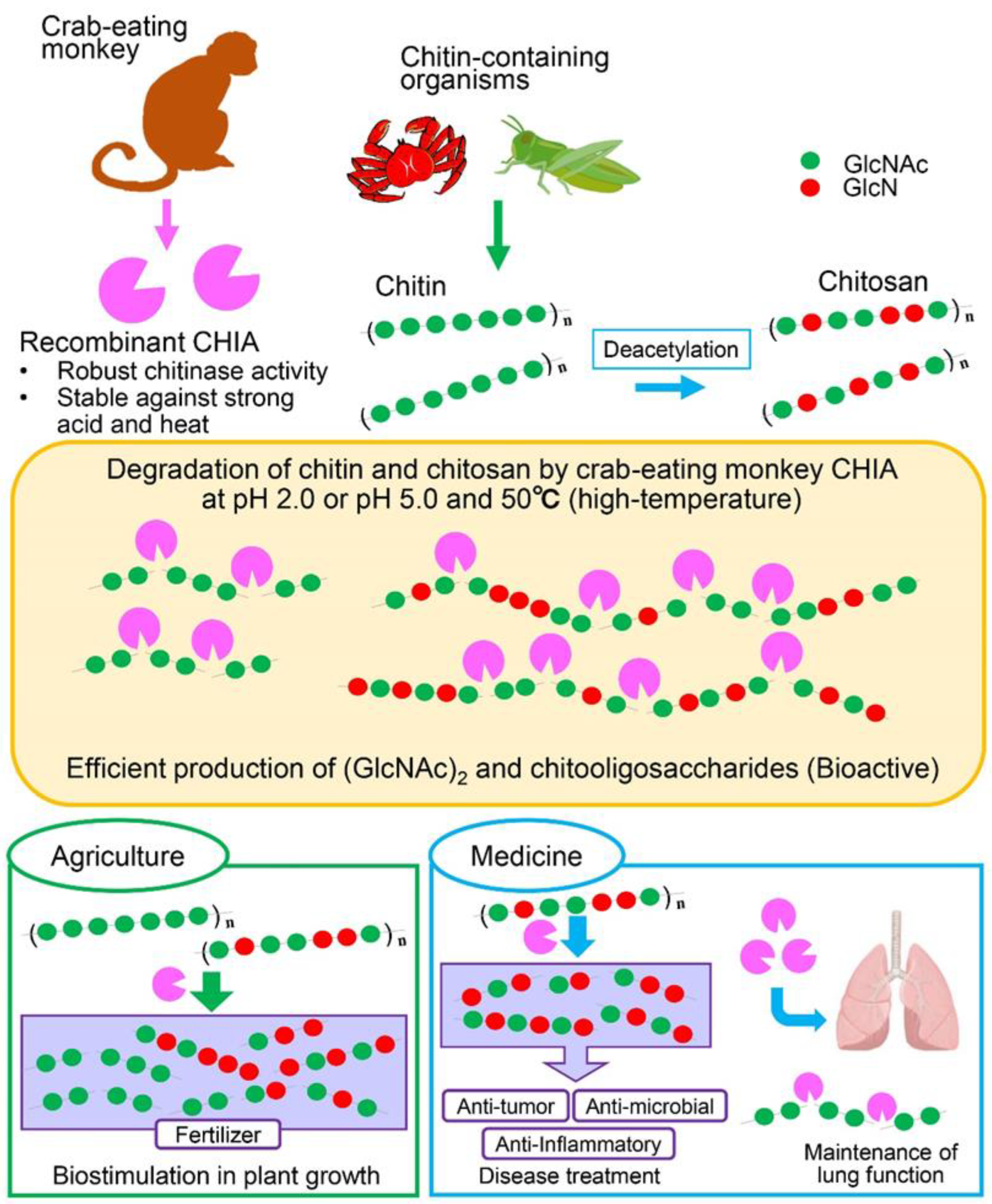Molecules 27 00409 g005