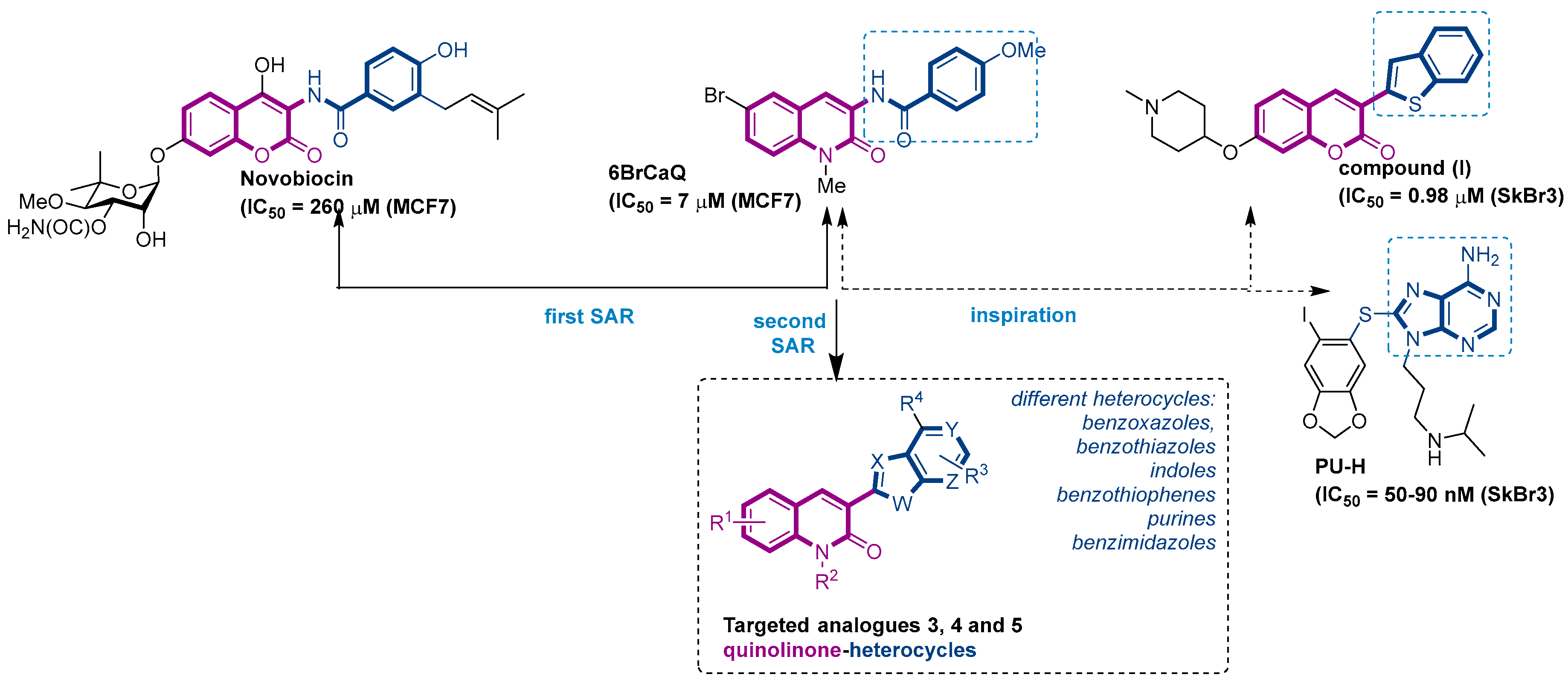 Molecules 27 00412 g001