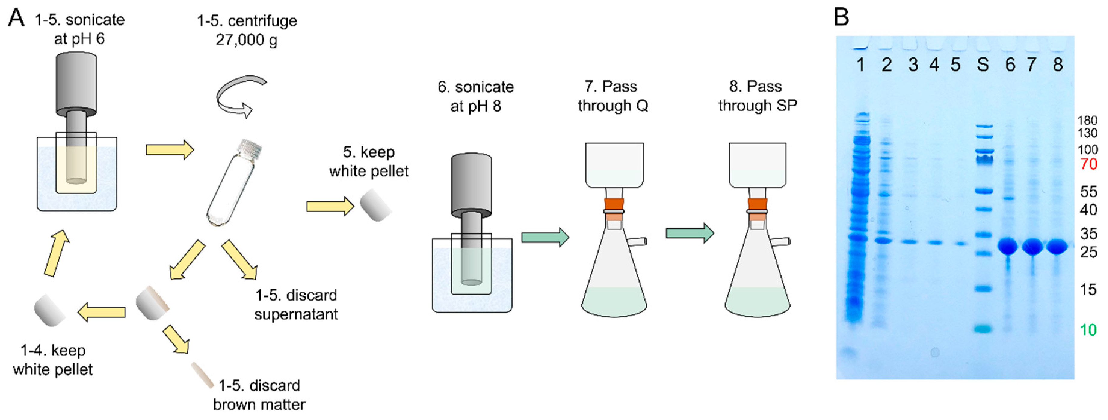 Molecules 27 00418 g002 Molecules 27 00418 g002