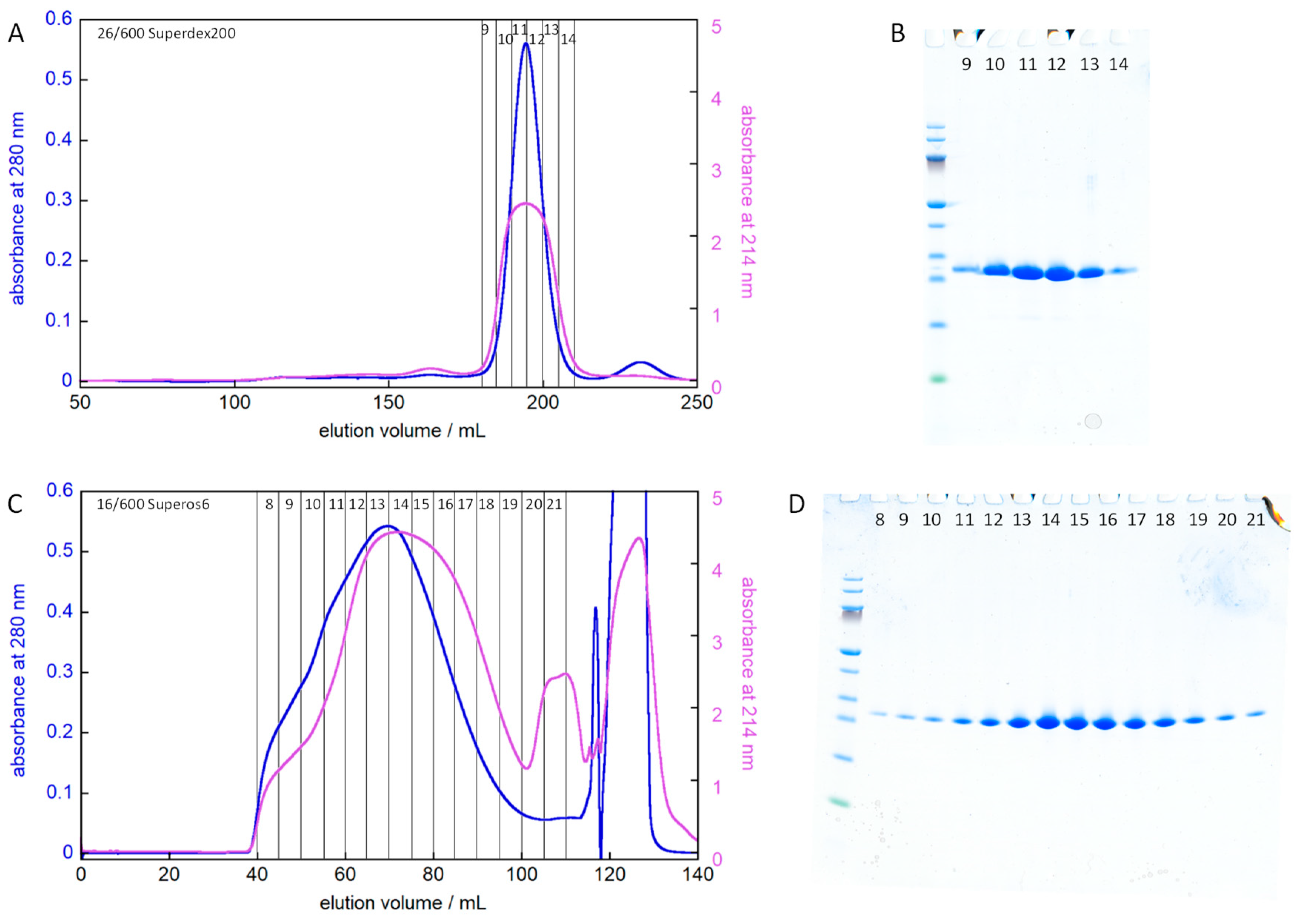 Molecules 27 00418 g003 Molecules 27 00418 g003