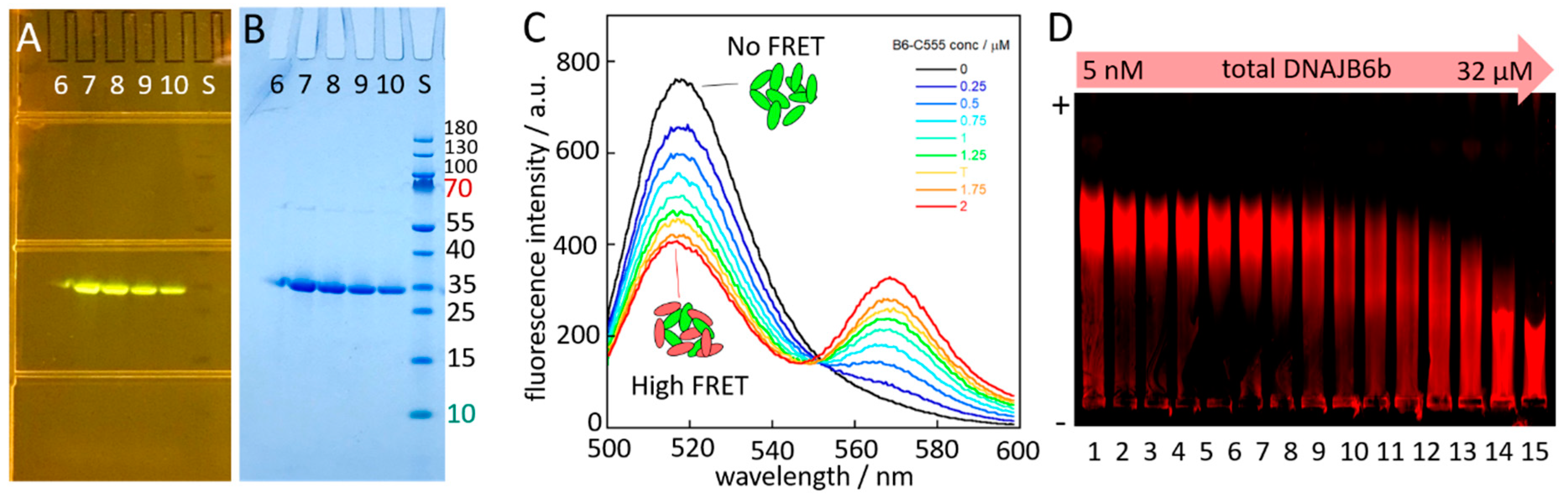 Molecules 27 00418 g005 Molecules 27 00418 g005