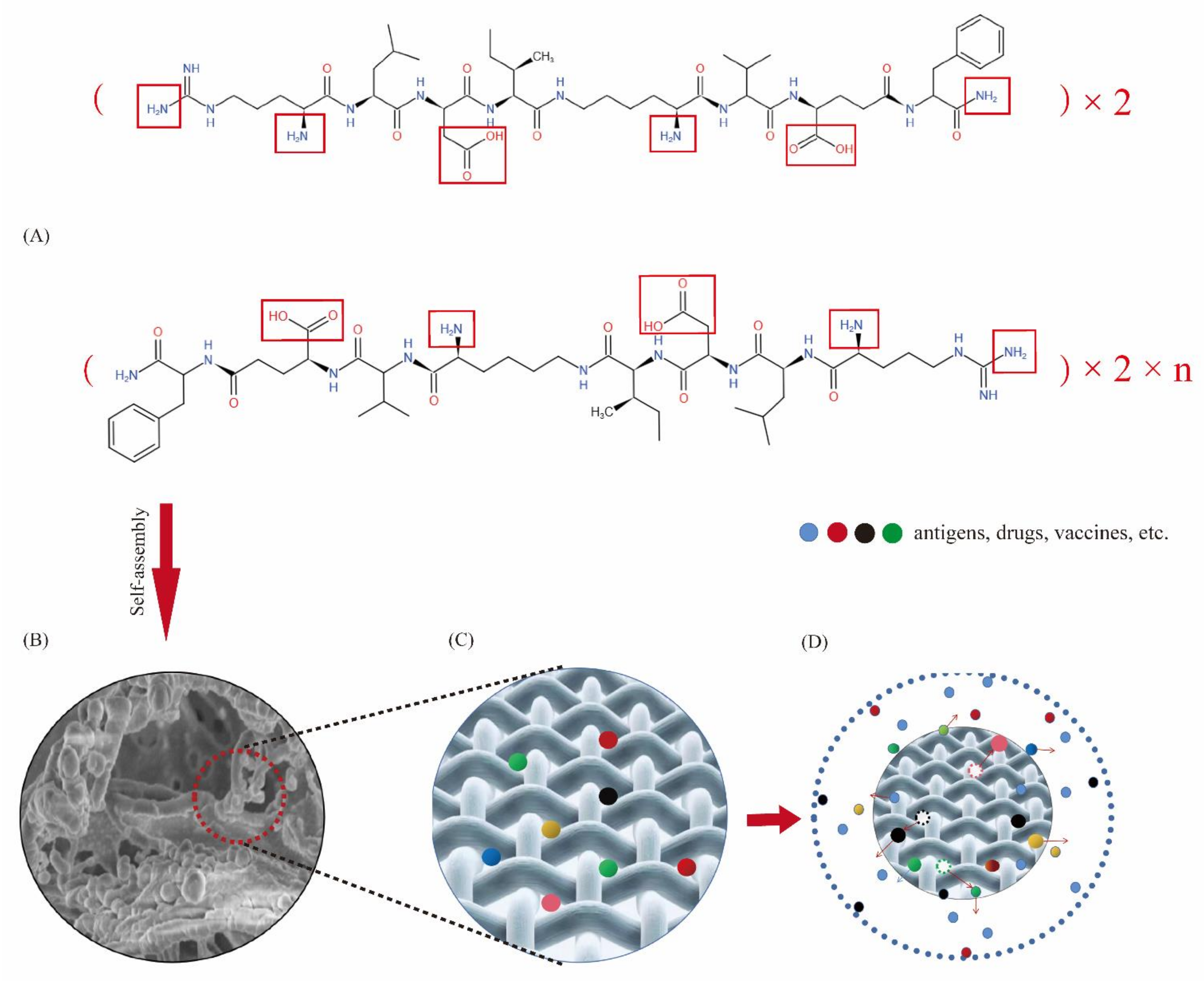 Molecules 27 00419 g014 550