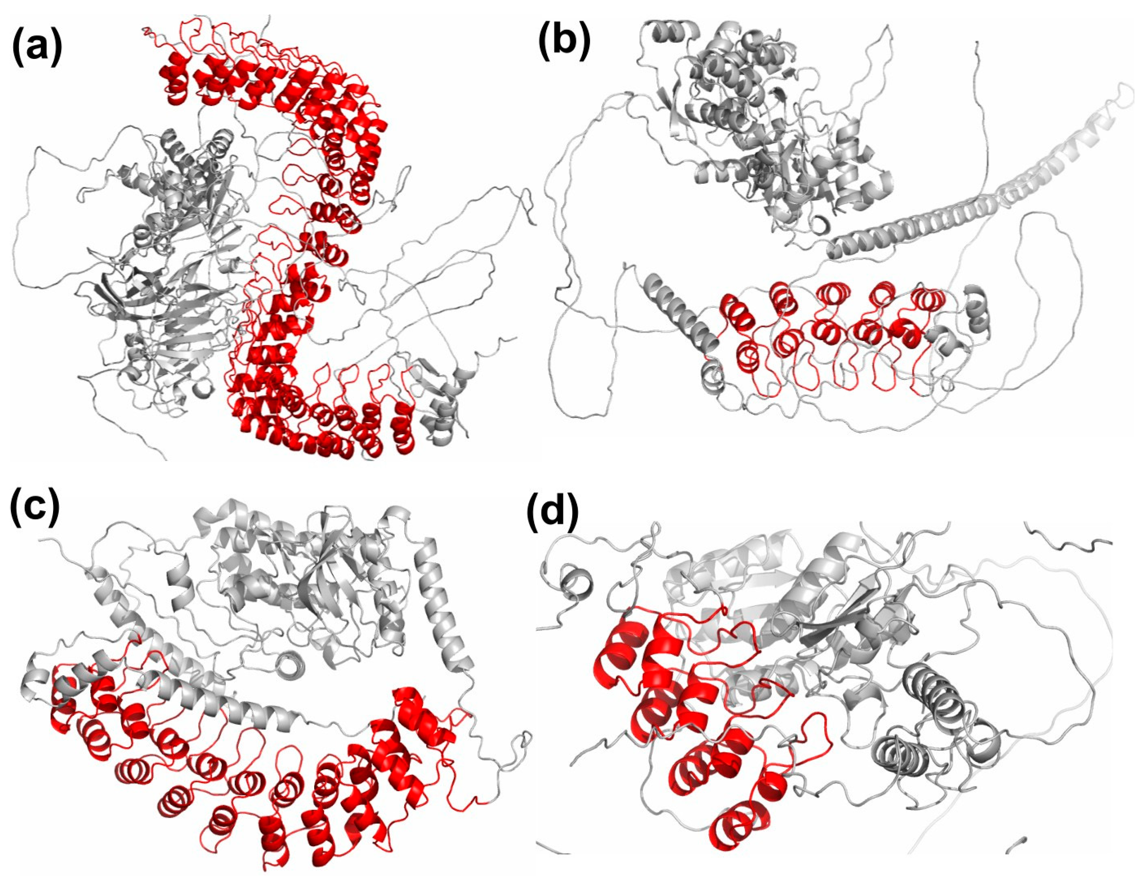 Molecules 27 00423 g008