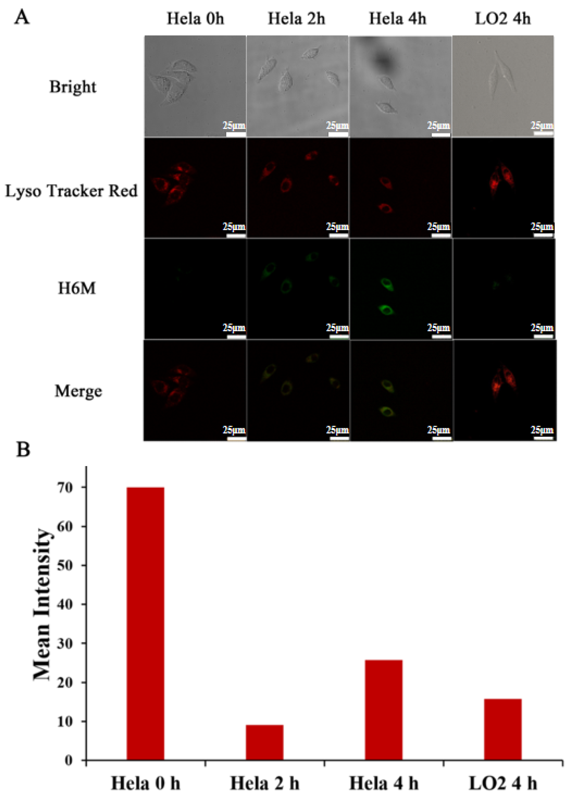 Molecules 27 00425 g007