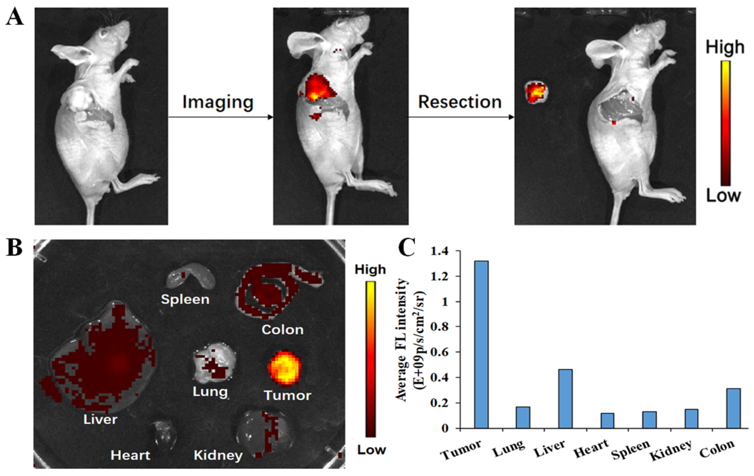 Molecules 27 00425 g008