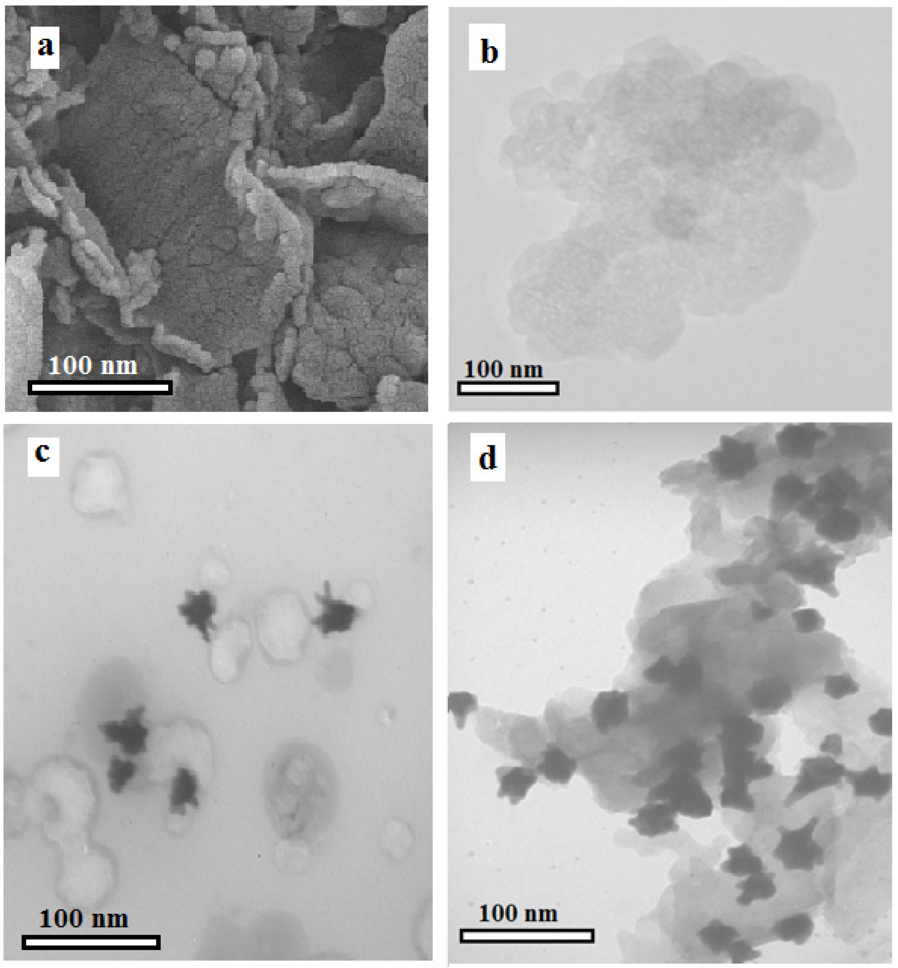 Molecules 27 00431 g001 550