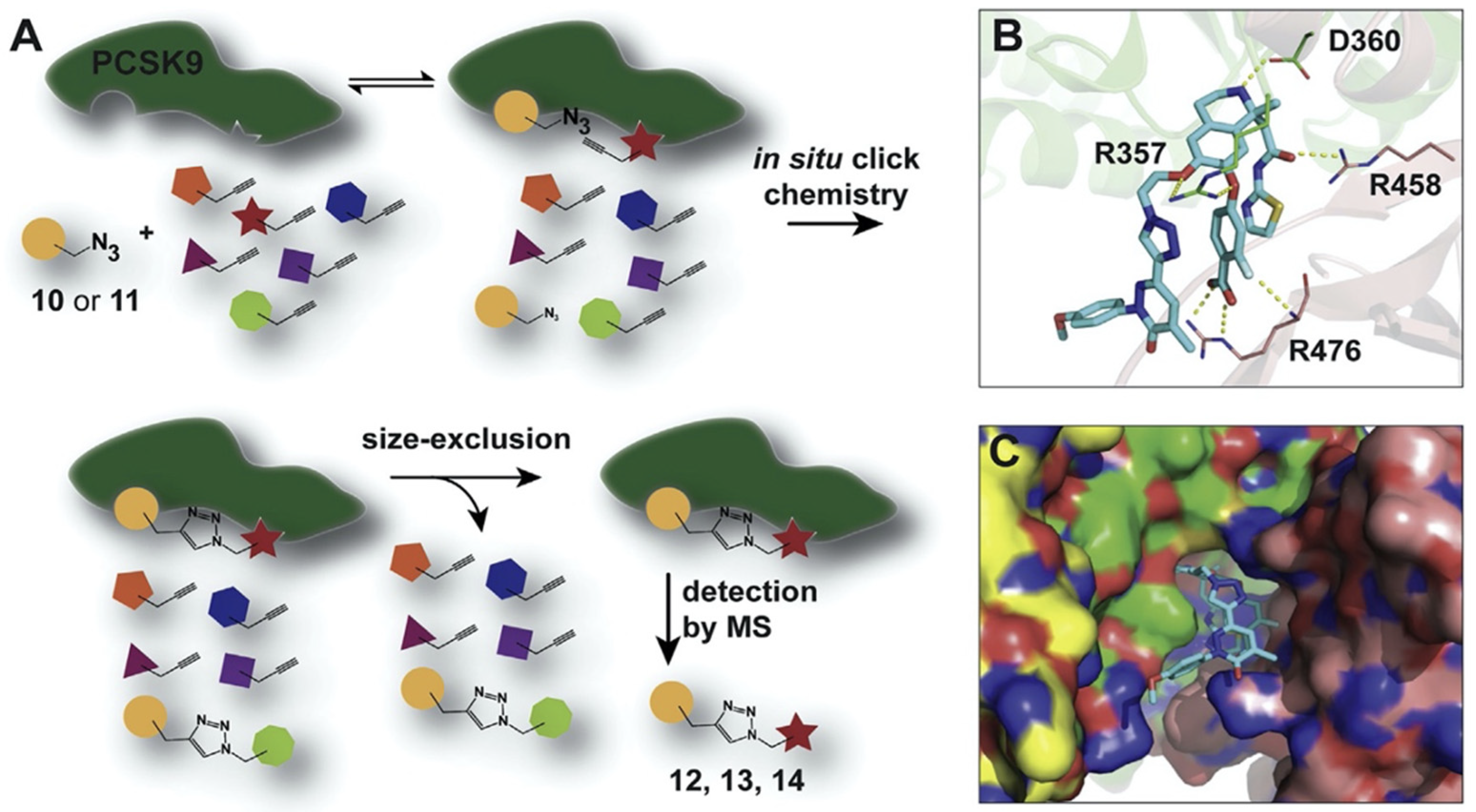 Molecules 27 00434 g005 Molecules 27 00434 g005