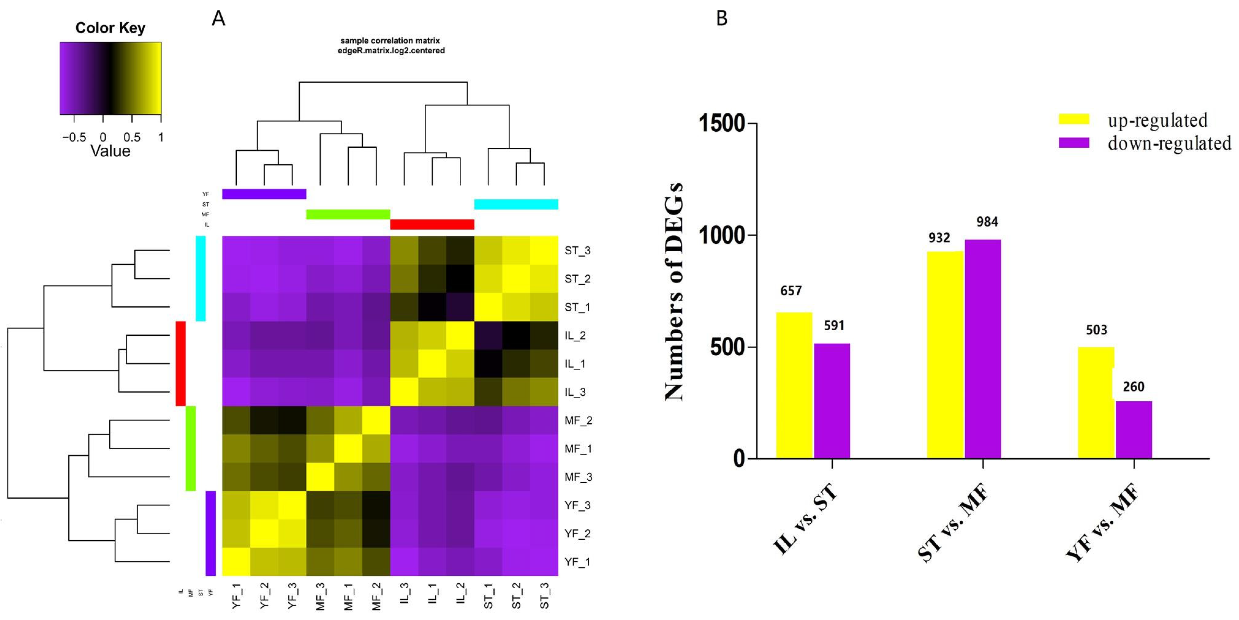 Molecules 27 00438 g001 550
