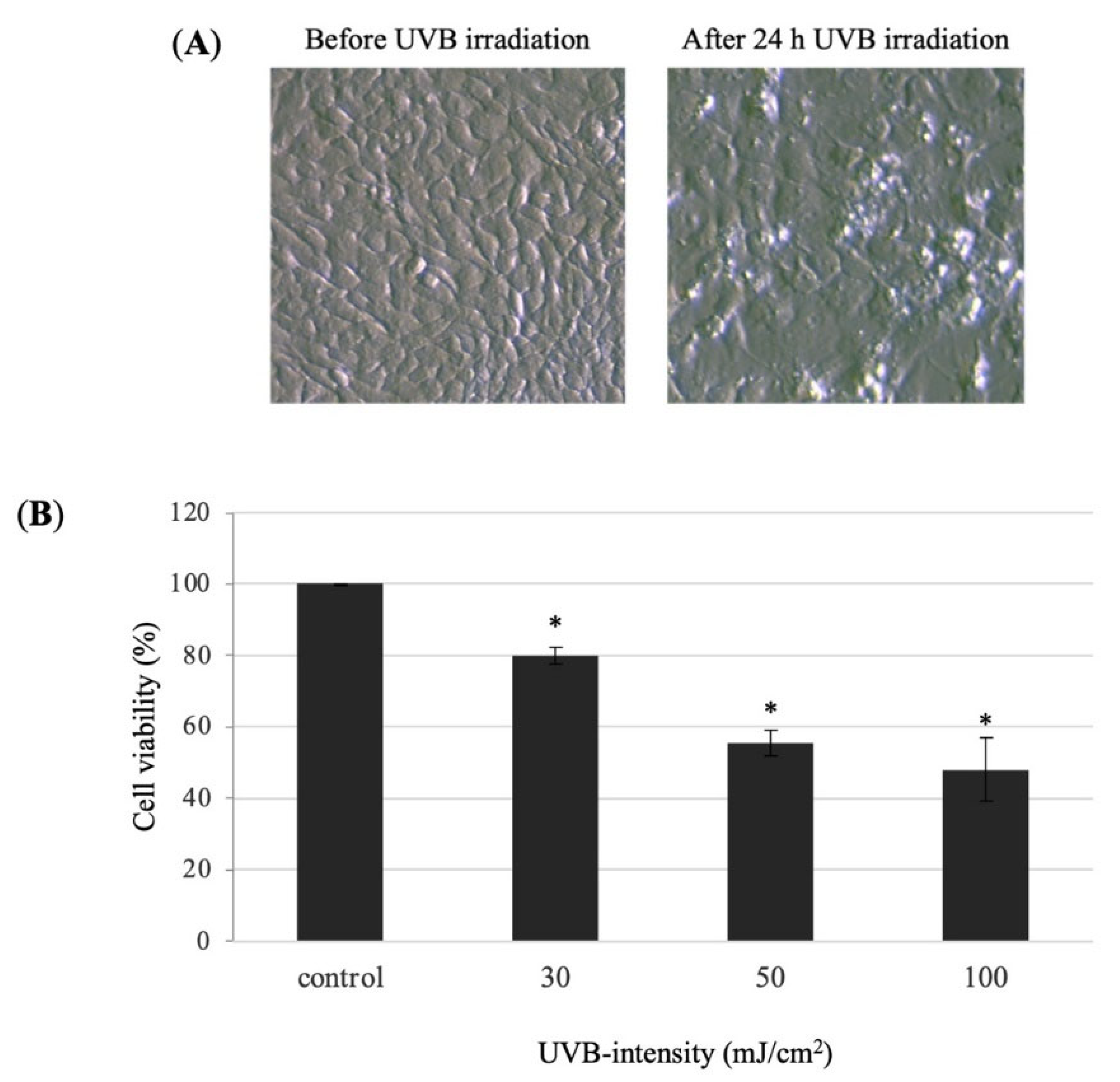 Molecules 27 00440 g004
