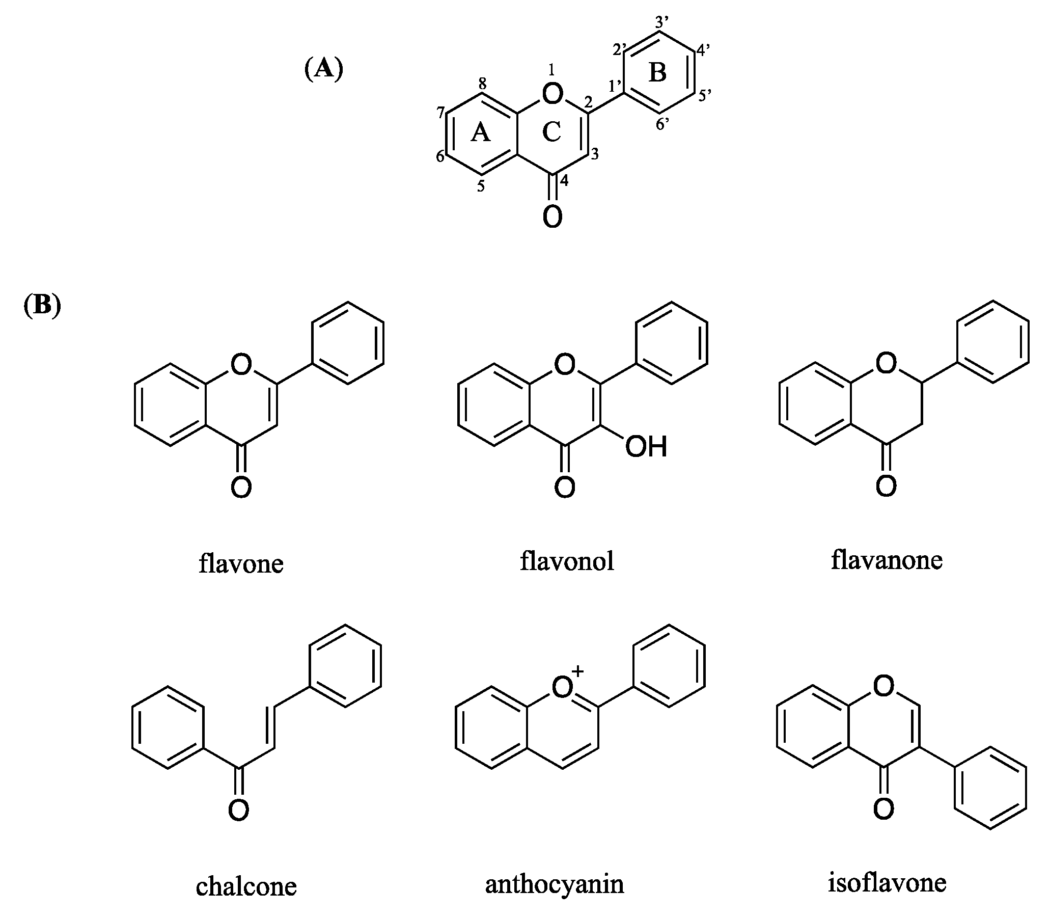 Molecules 27 00440 g006