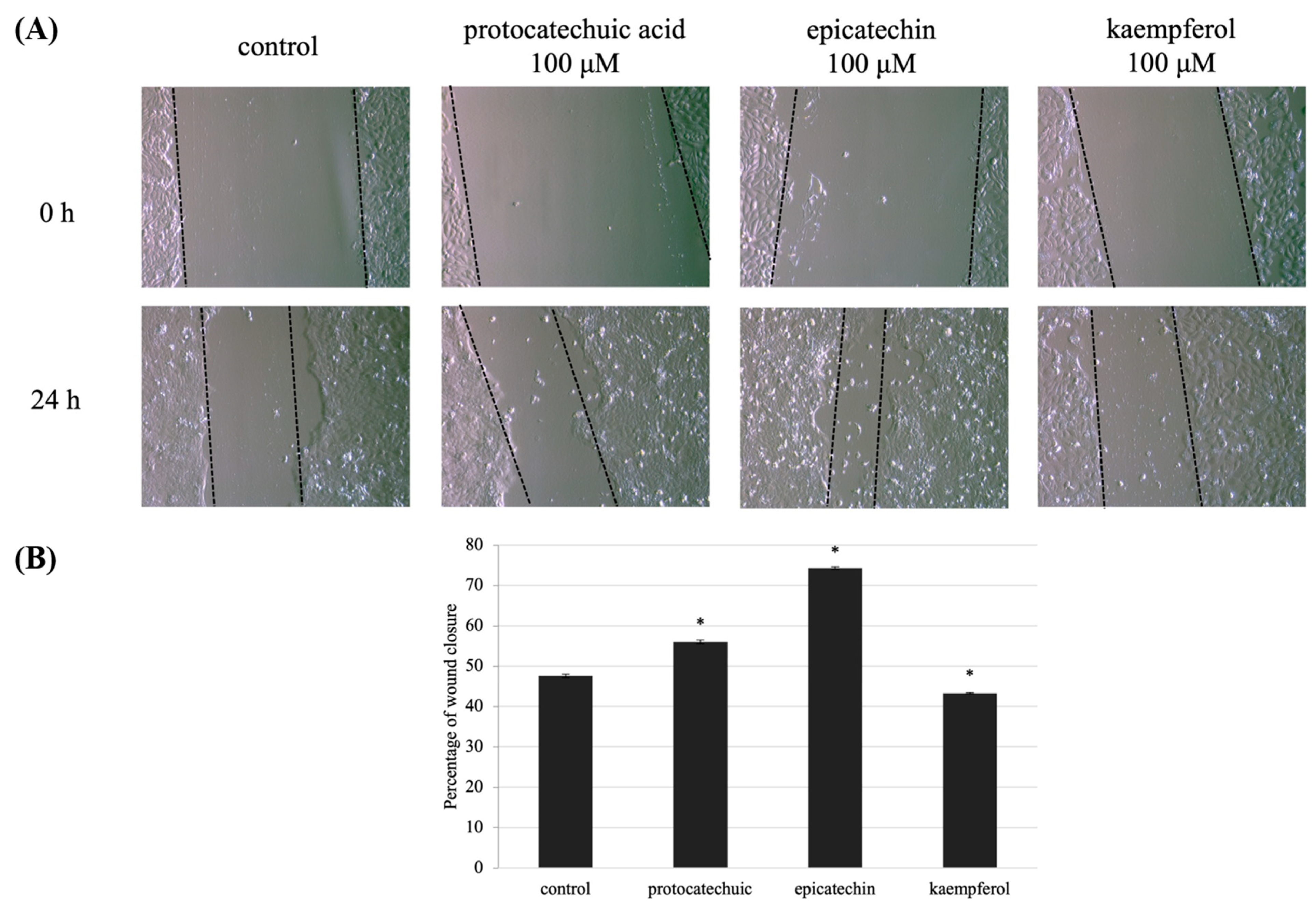 Molecules 27 00440 g007