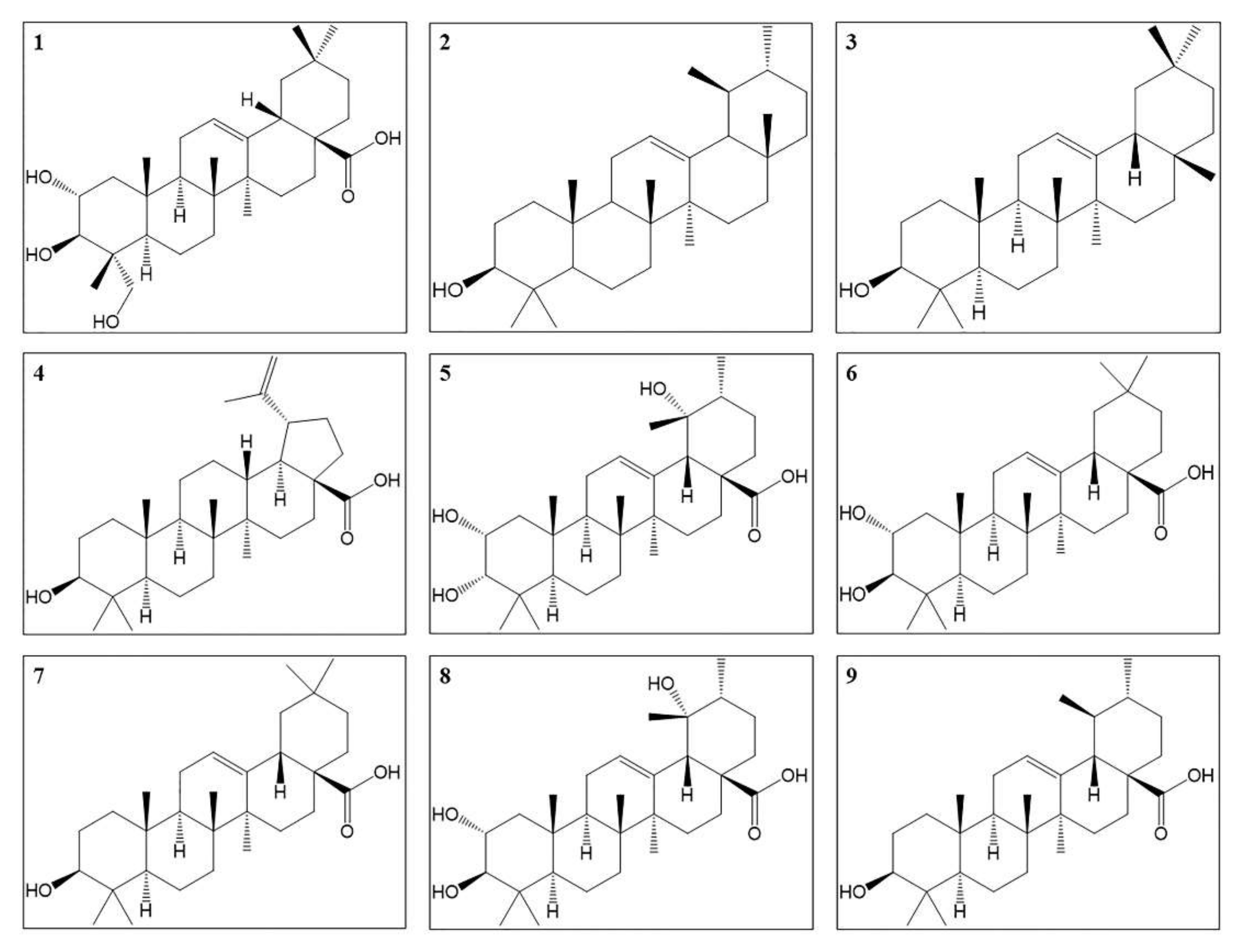 Molecules 27 00444 g004