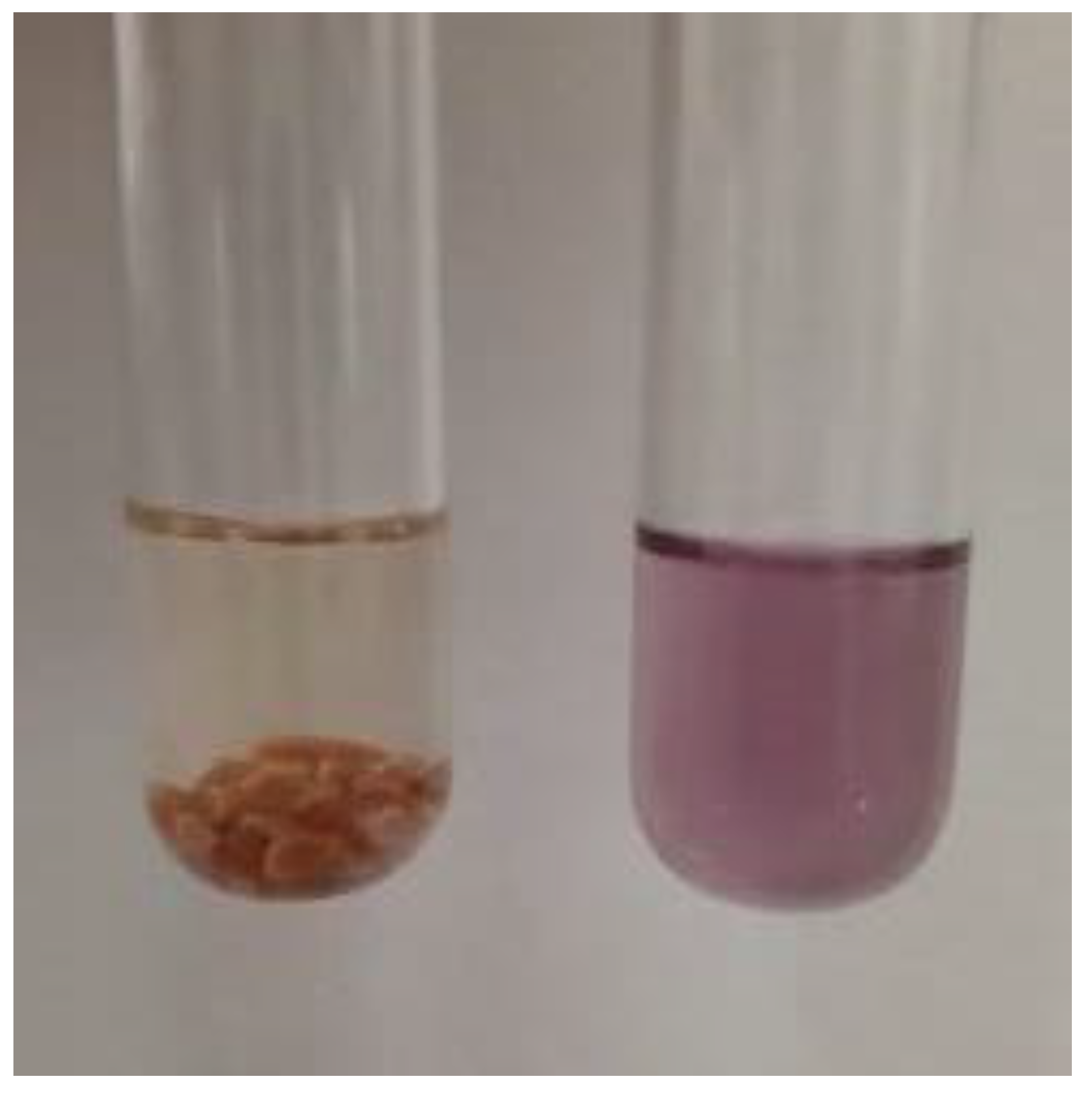 Molecules 27 00449 g004