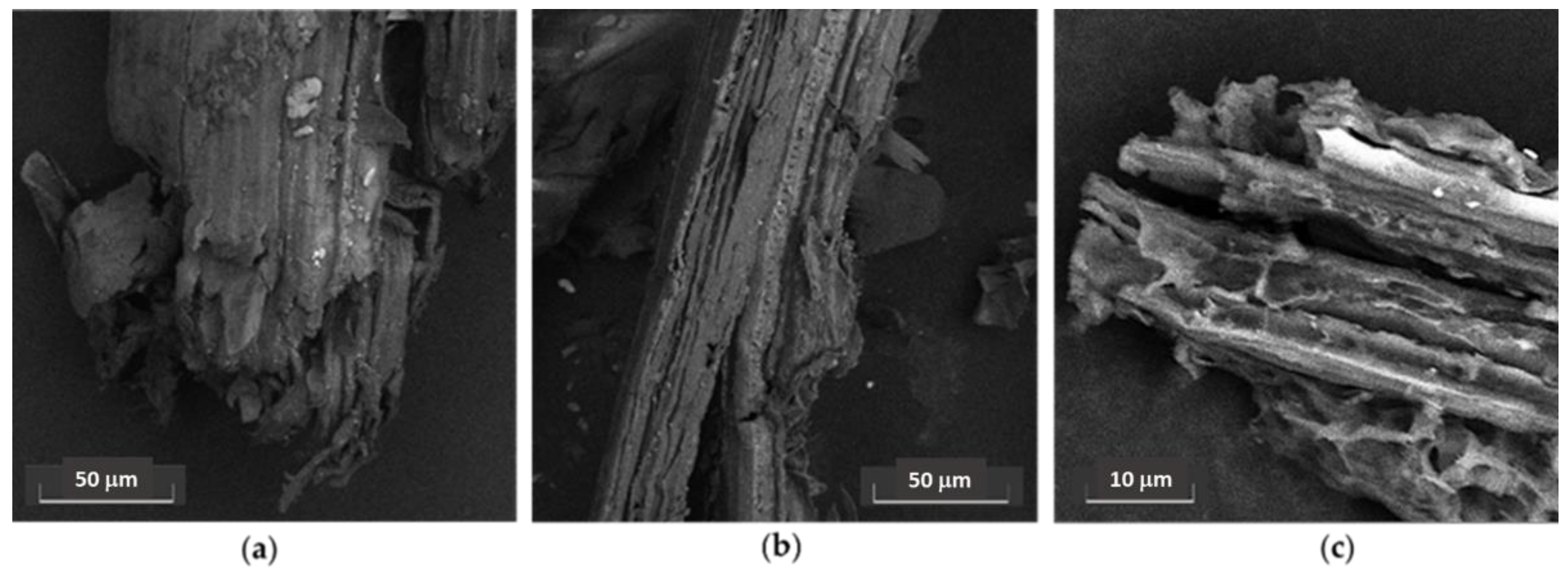 Molecules 27 00449 g008