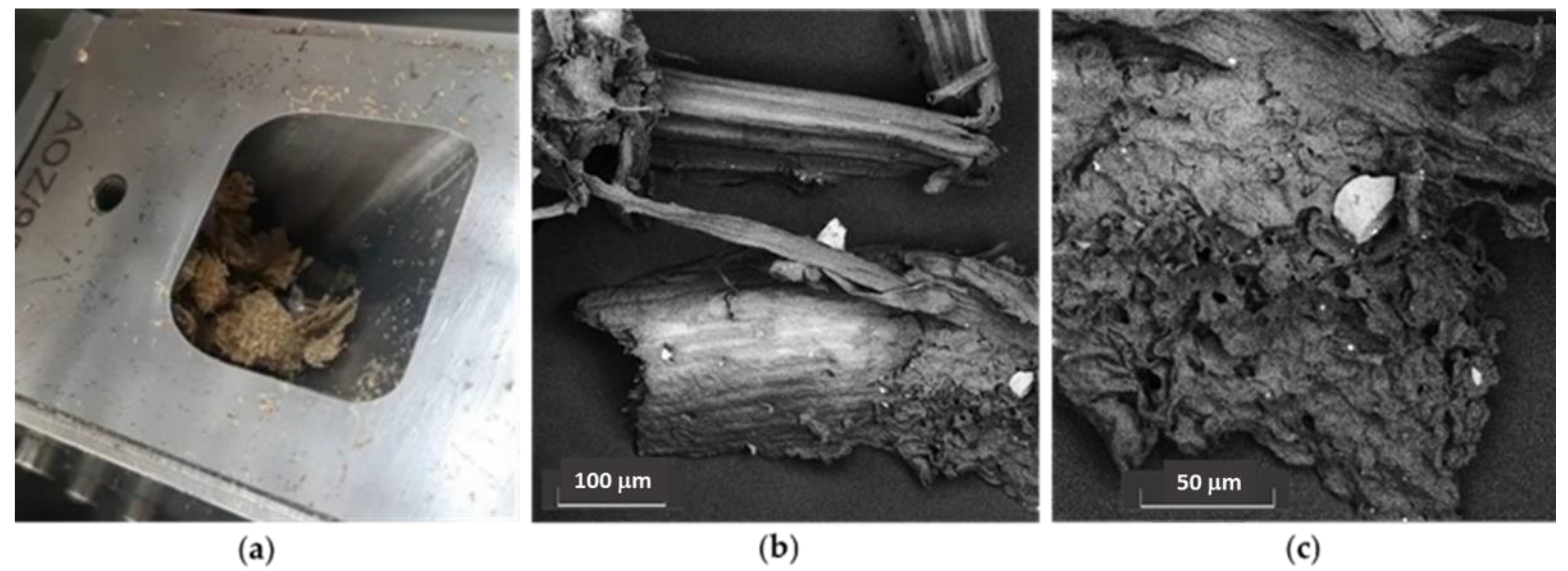 Molecules 27 00449 g009