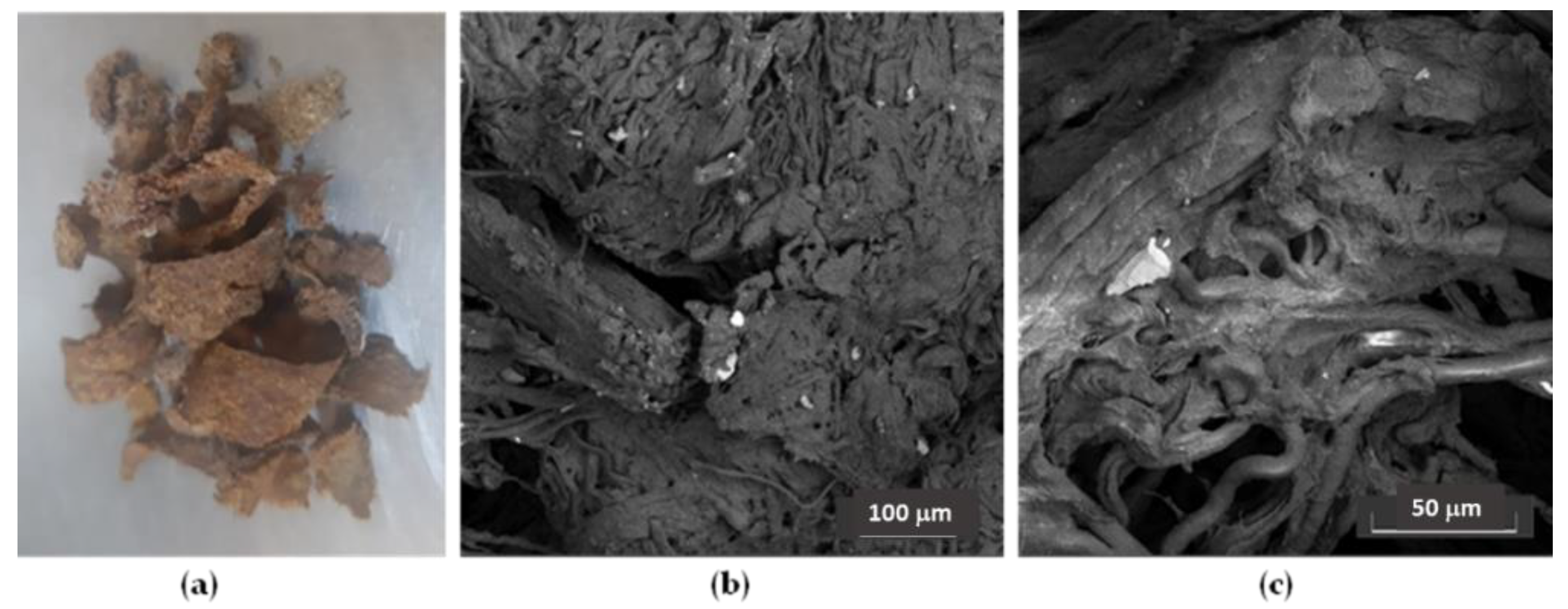 Molecules 27 00449 g011