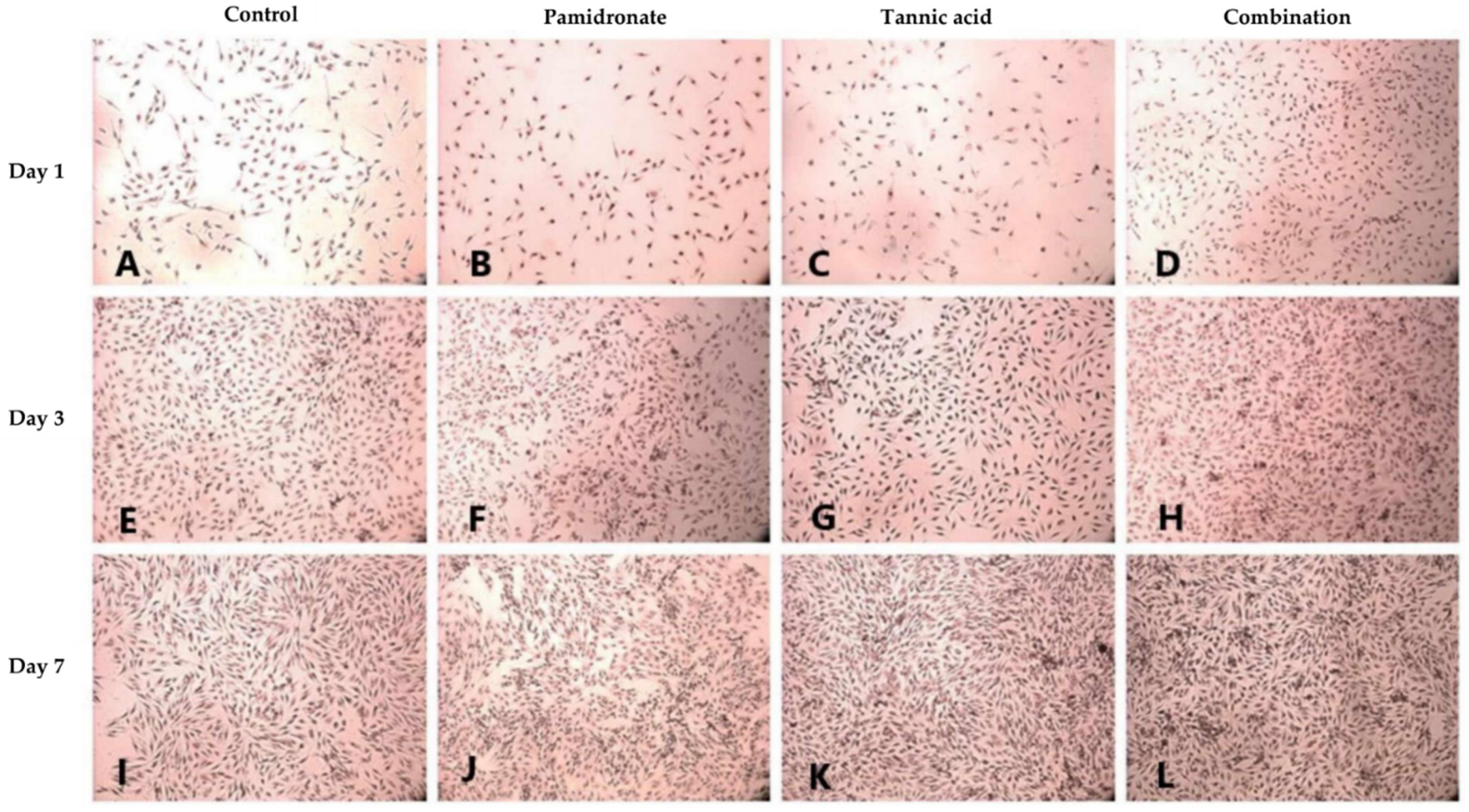 Molecules 27 00451 g003 Molecules 27 00451 g003