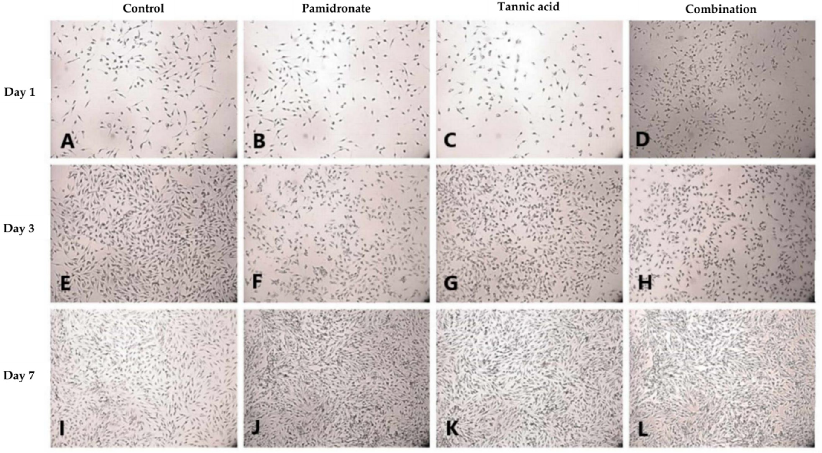 Molecules 27 00451 g004 Molecules 27 00451 g004