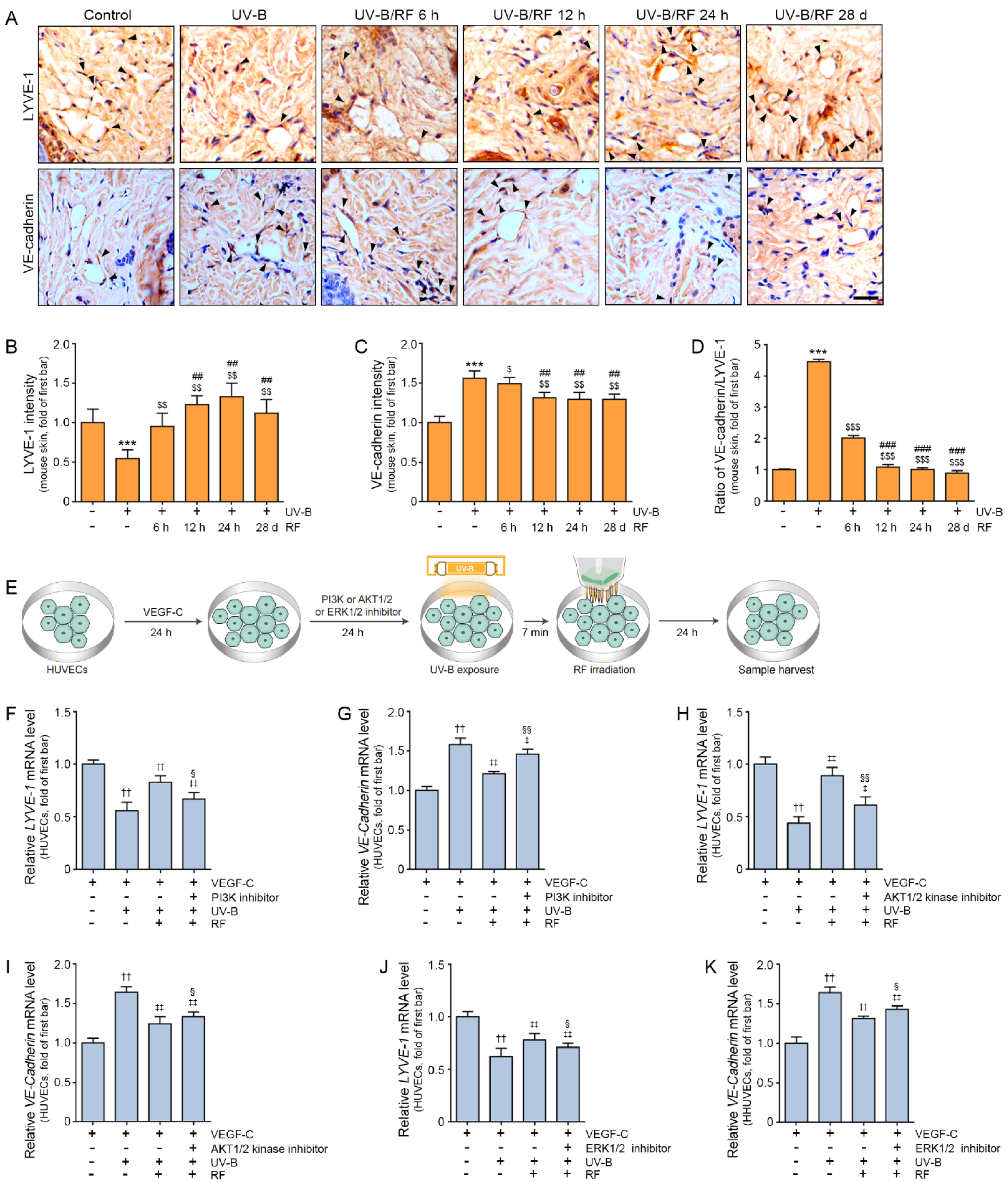 Molecules 27 00454 g003 Molecules 27 00454 g003