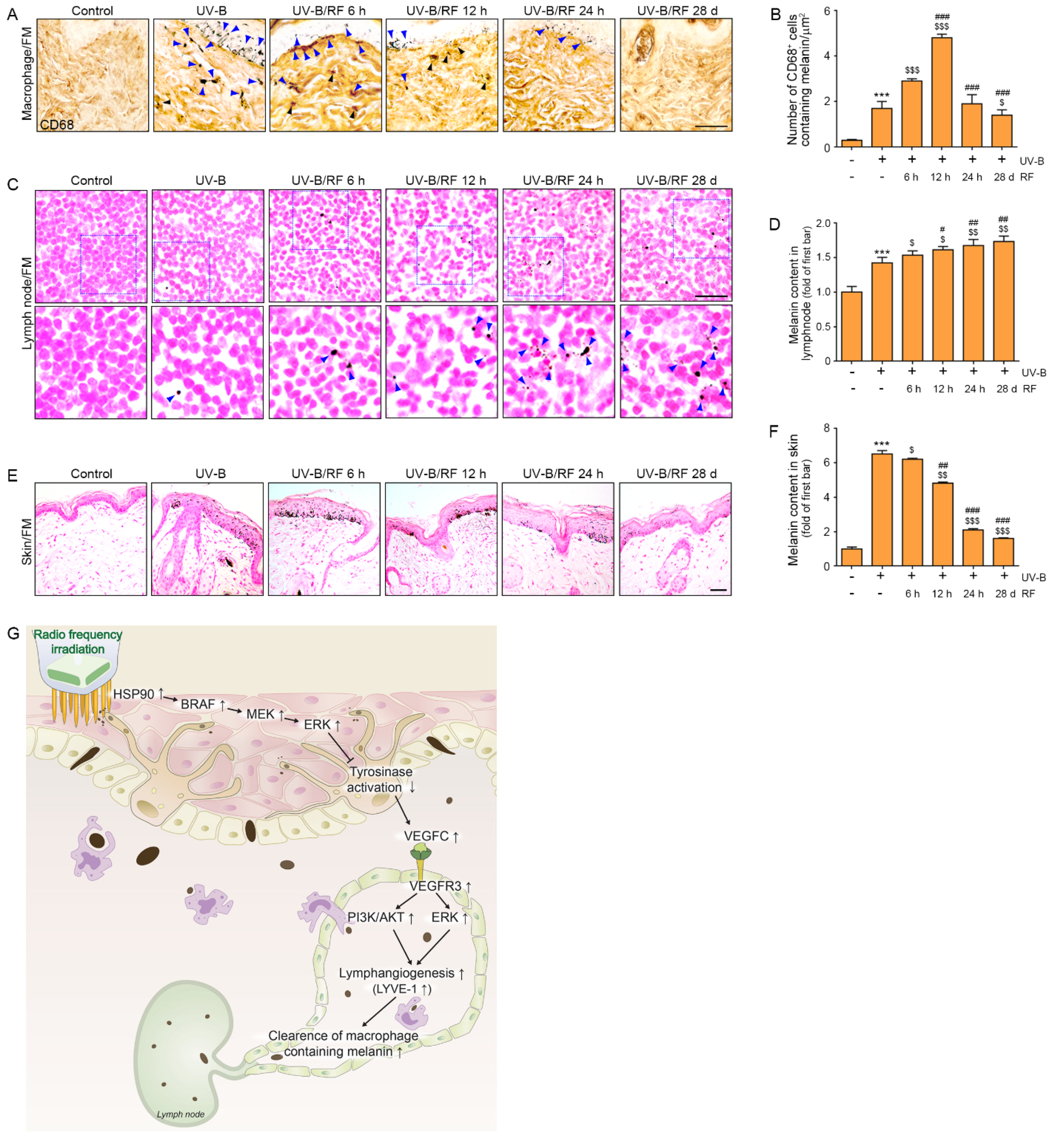 Molecules 27 00454 g004 Molecules 27 00454 g004