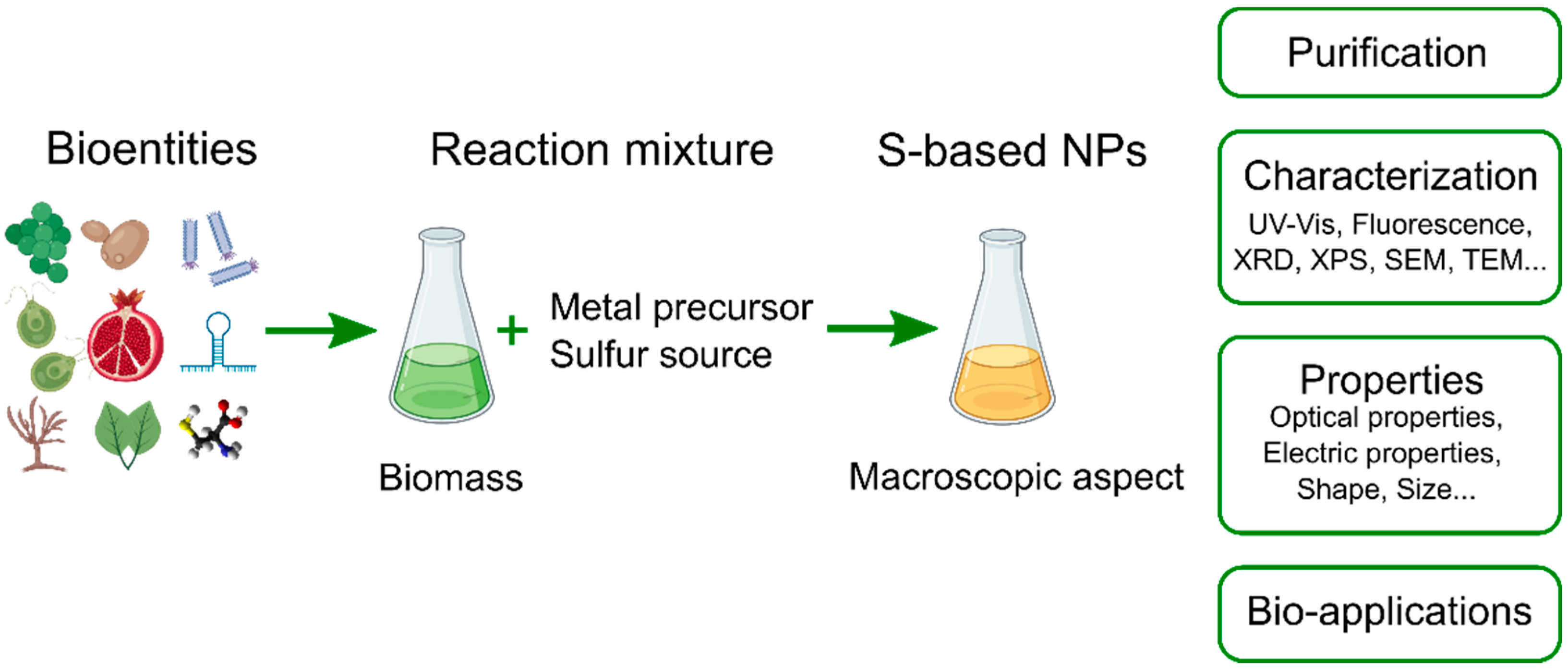 Molecules 27 00458 g001