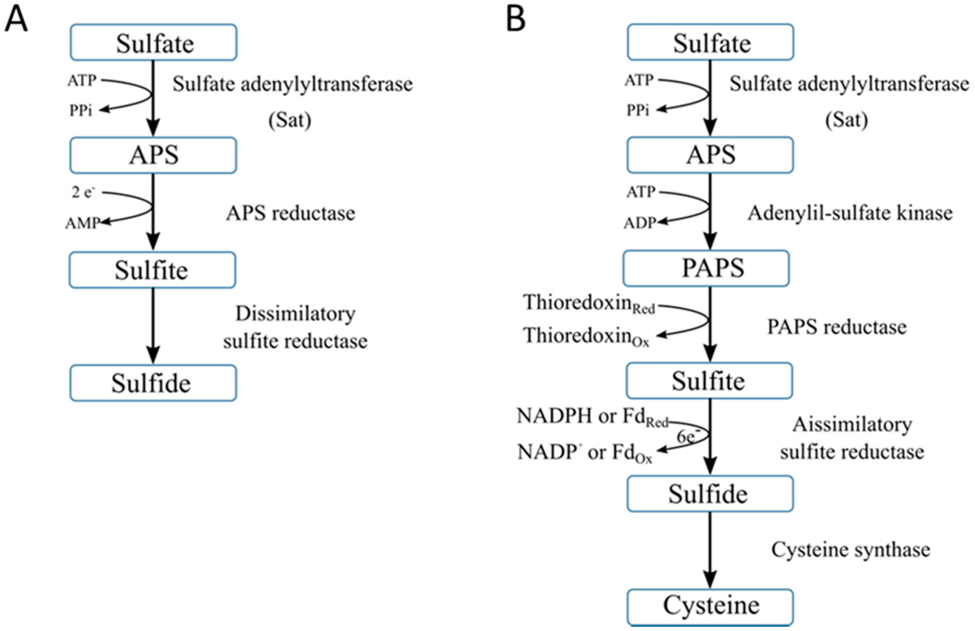 Molecules 27 00458 g002