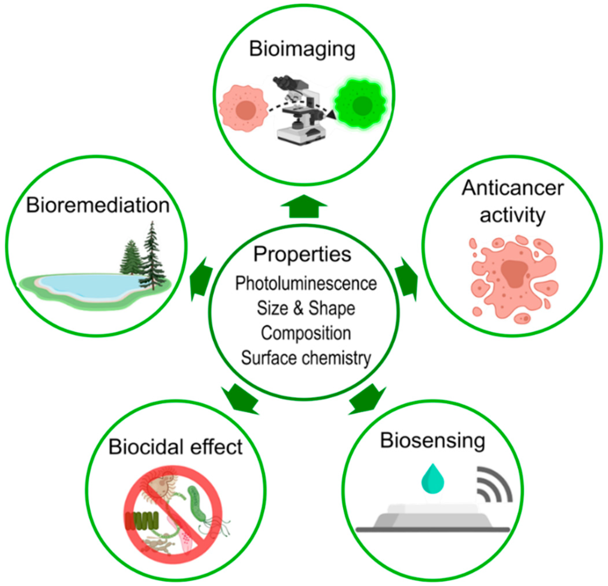 Molecules 27 00458 g006