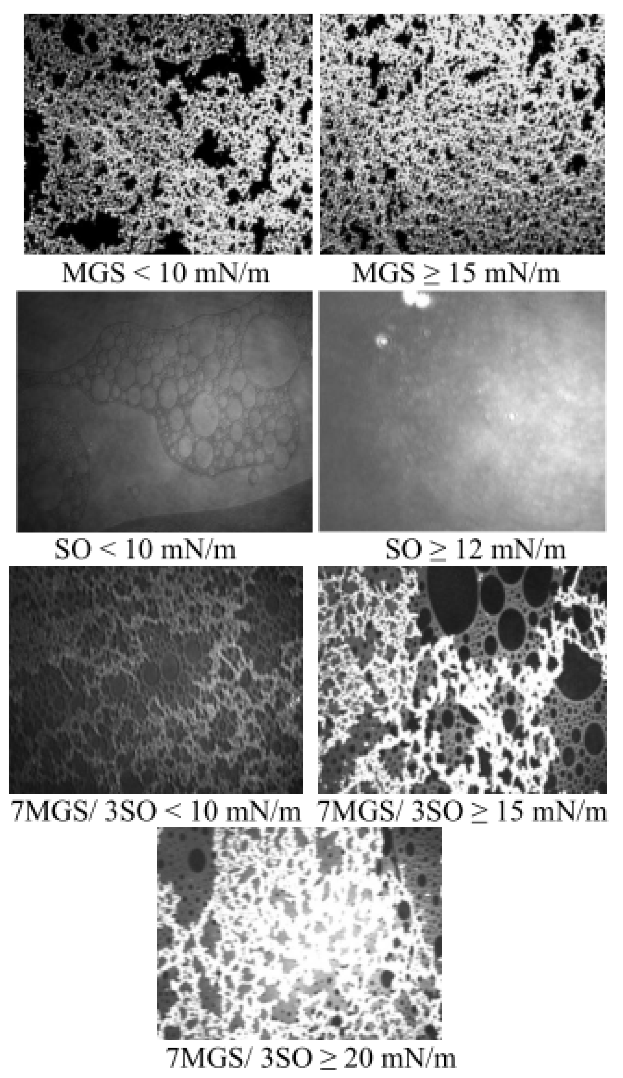 Molecules 27 00464 g002