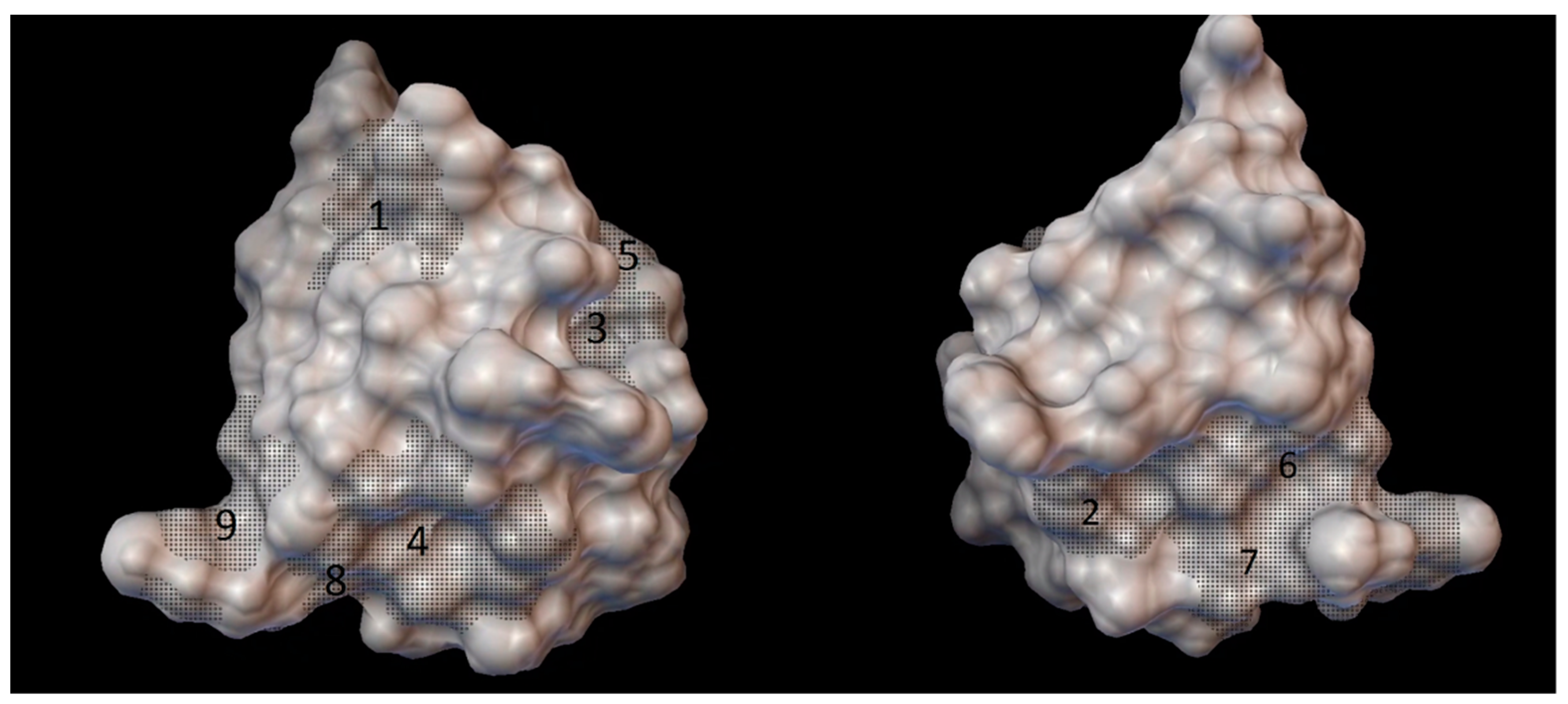 Molecules 27 00465 g003 550