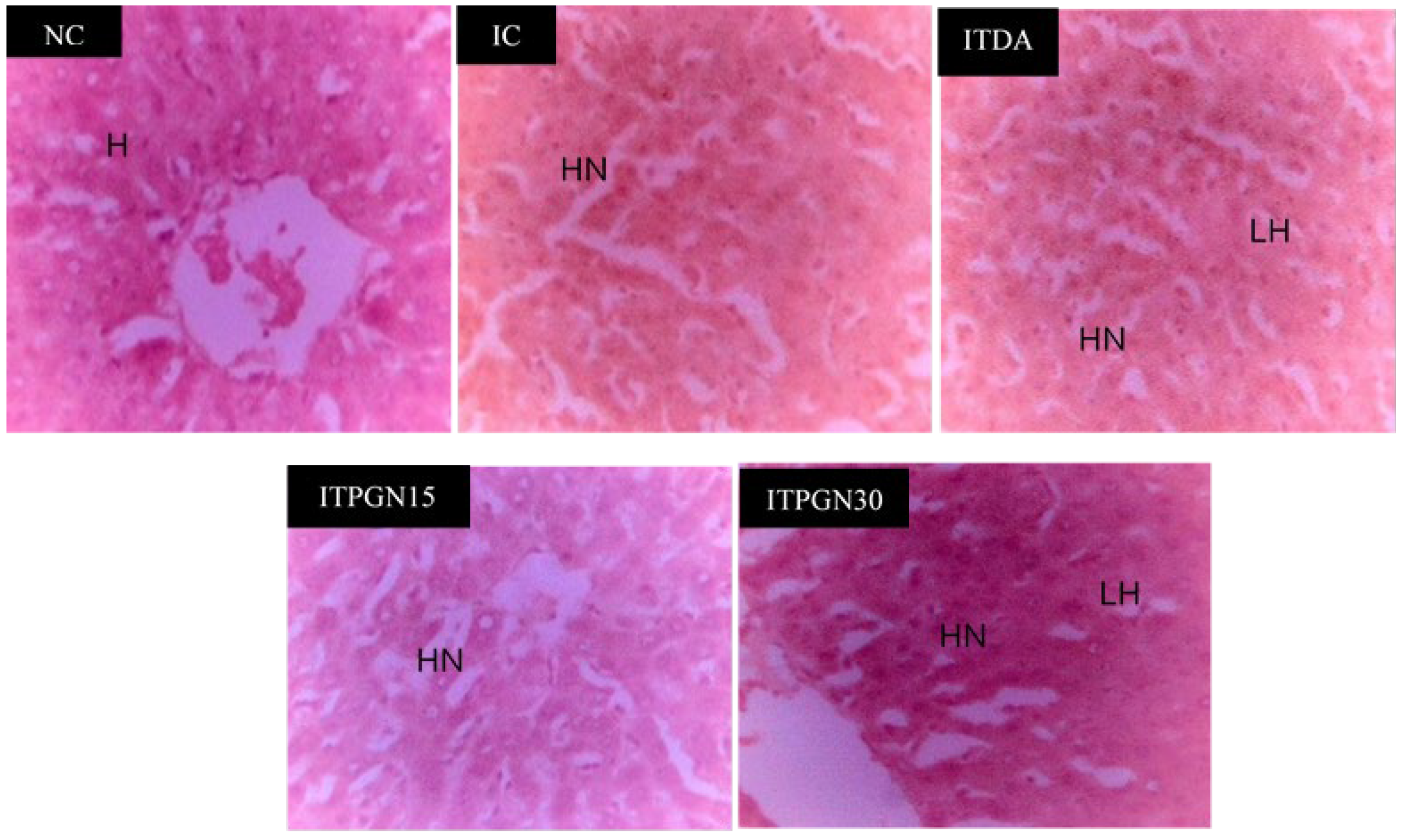 Molecules 27 00469 g005