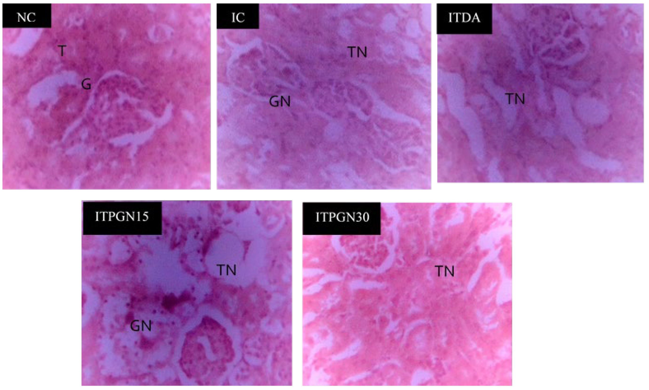 Molecules 27 00469 g006