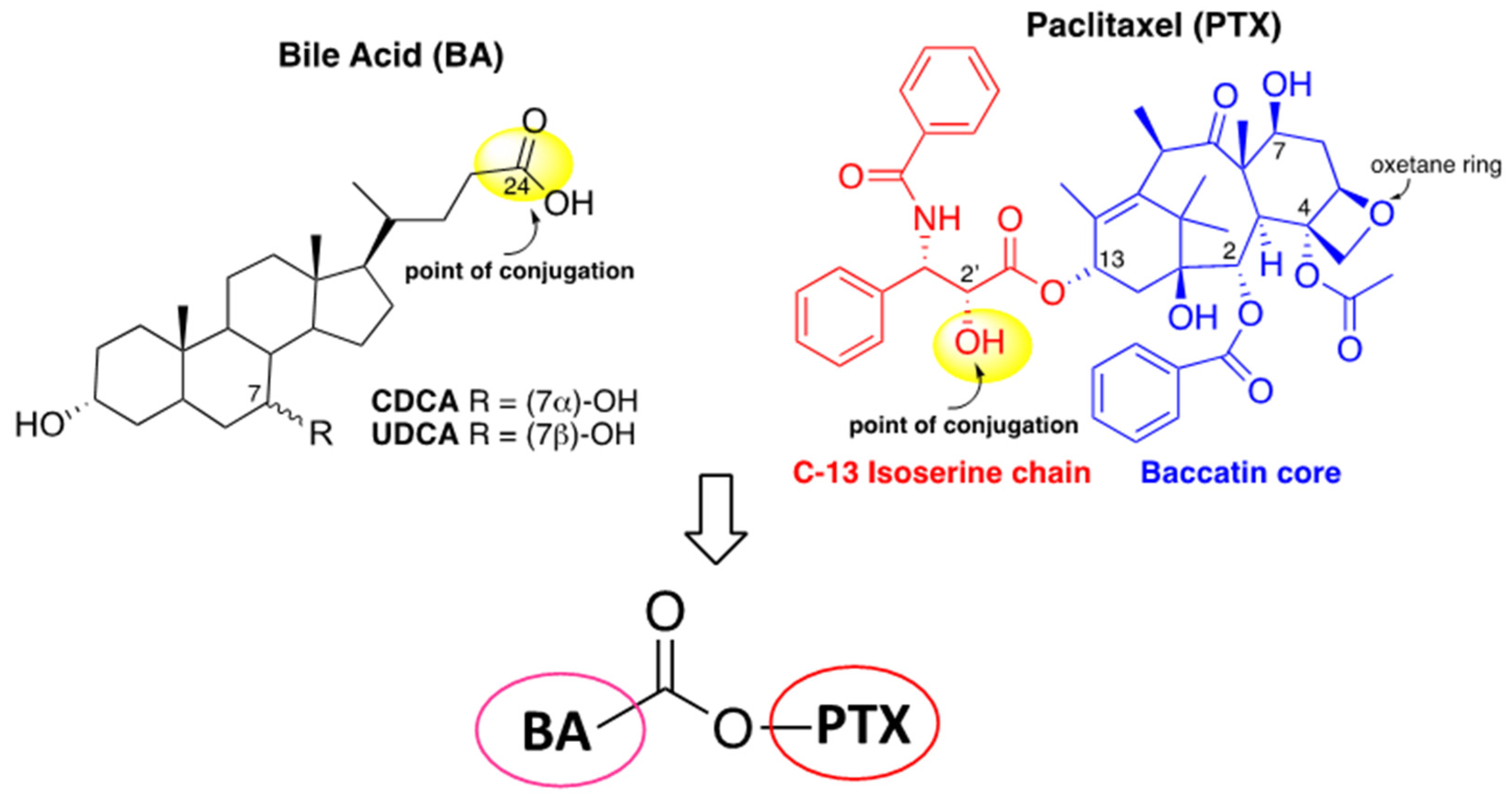 Molecules 27 00471 g001 550