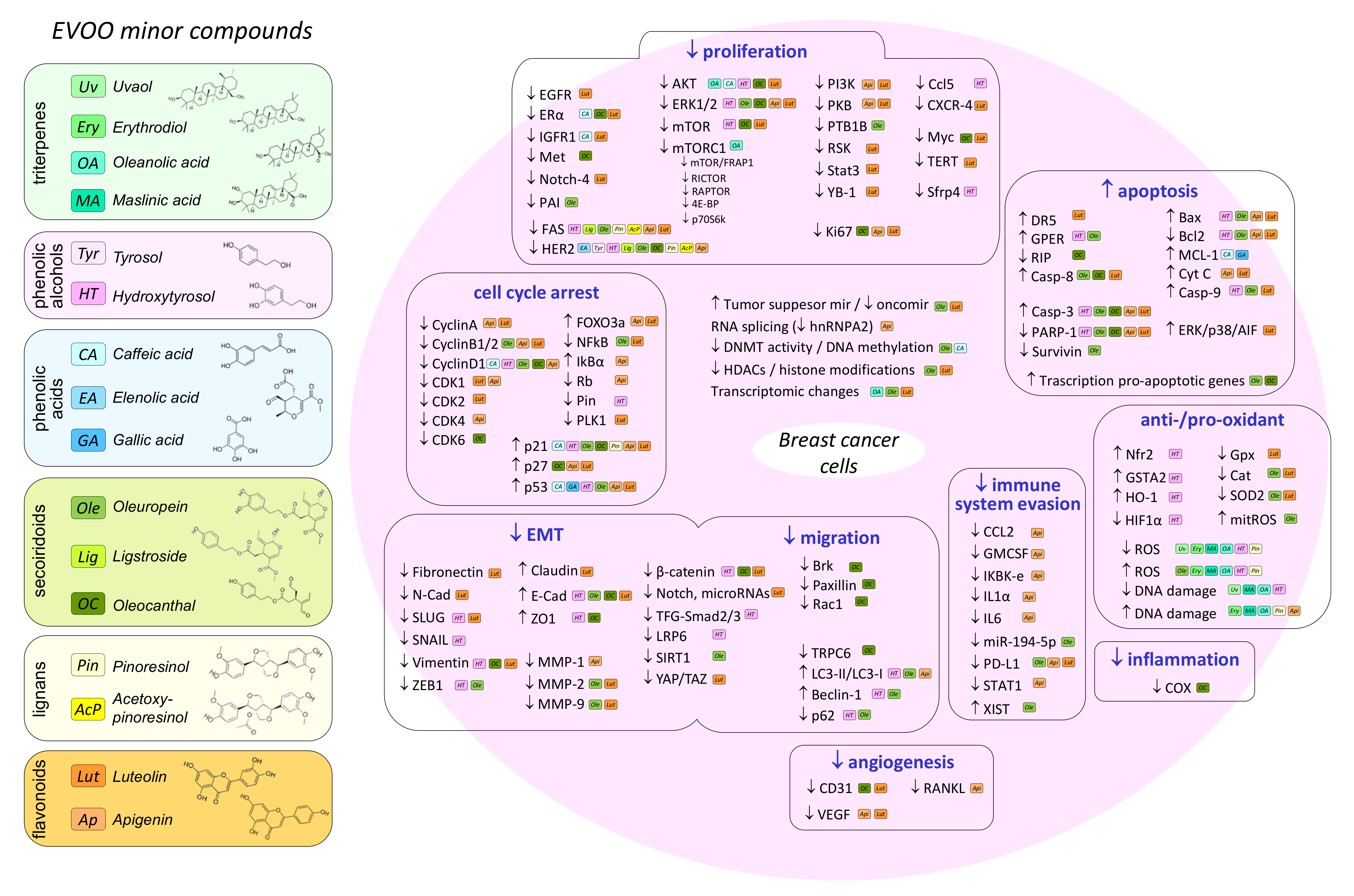 Molecules 27 00477 g002 Molecules 27 00477 g002