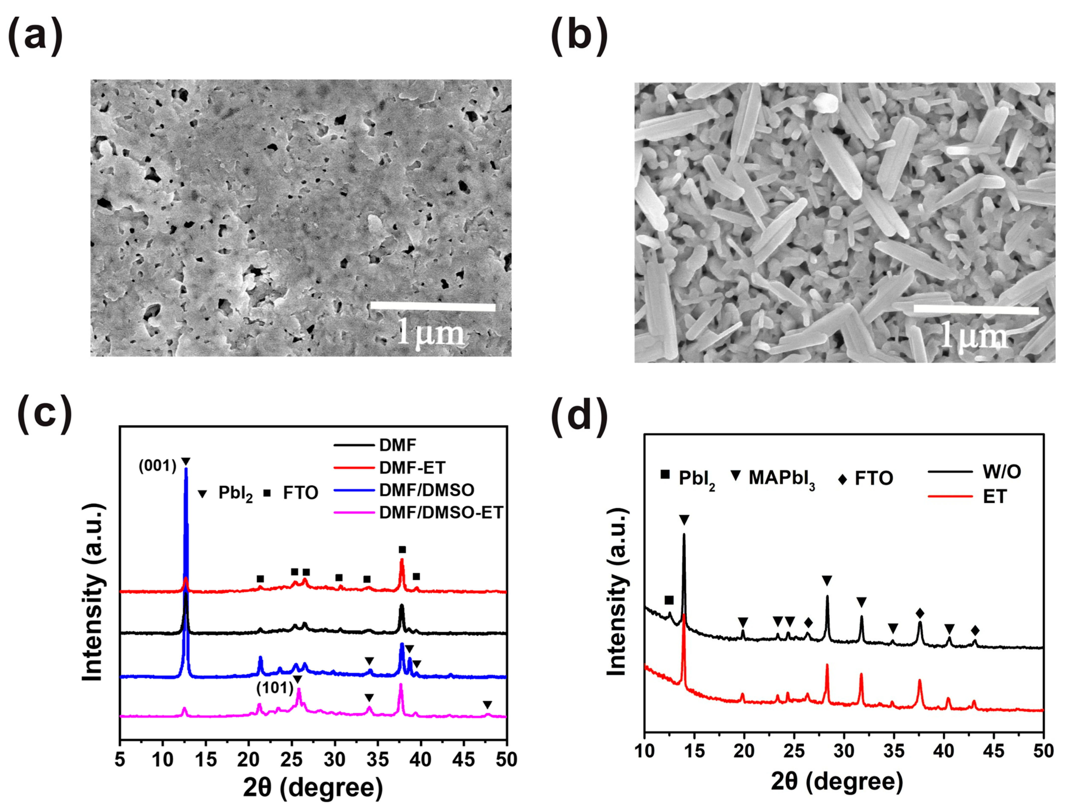 Molecules 27 00481 g003 550