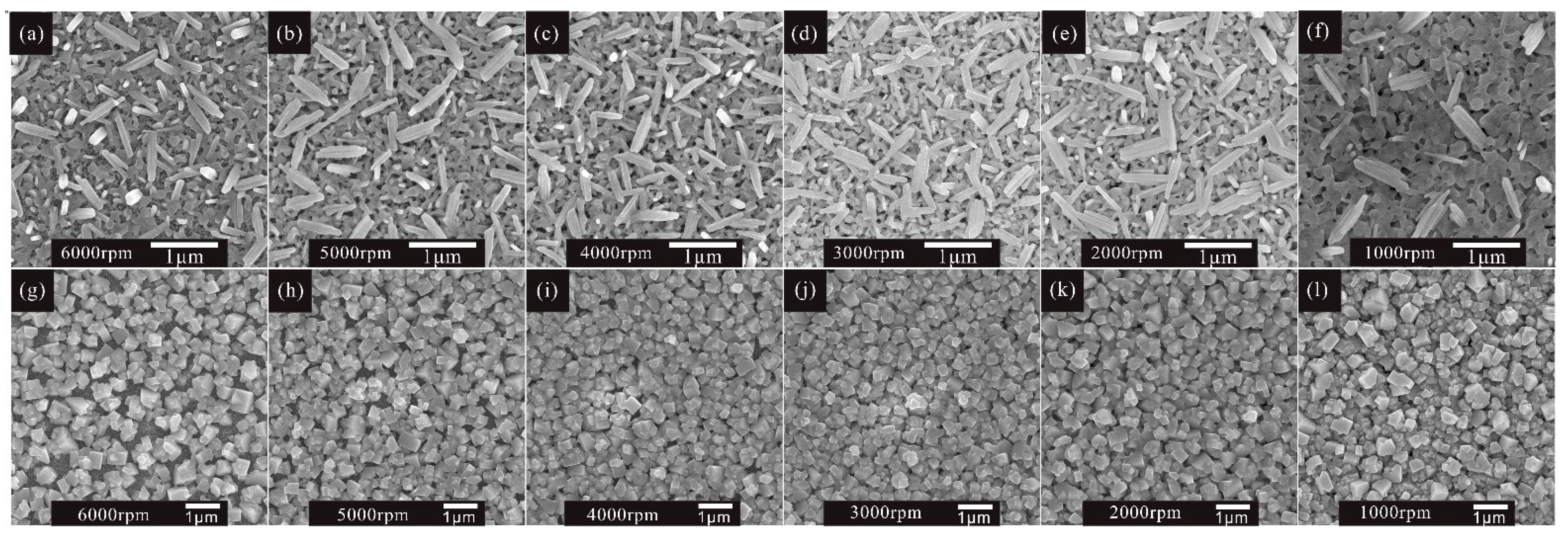 Molecules 27 00481 g004 550