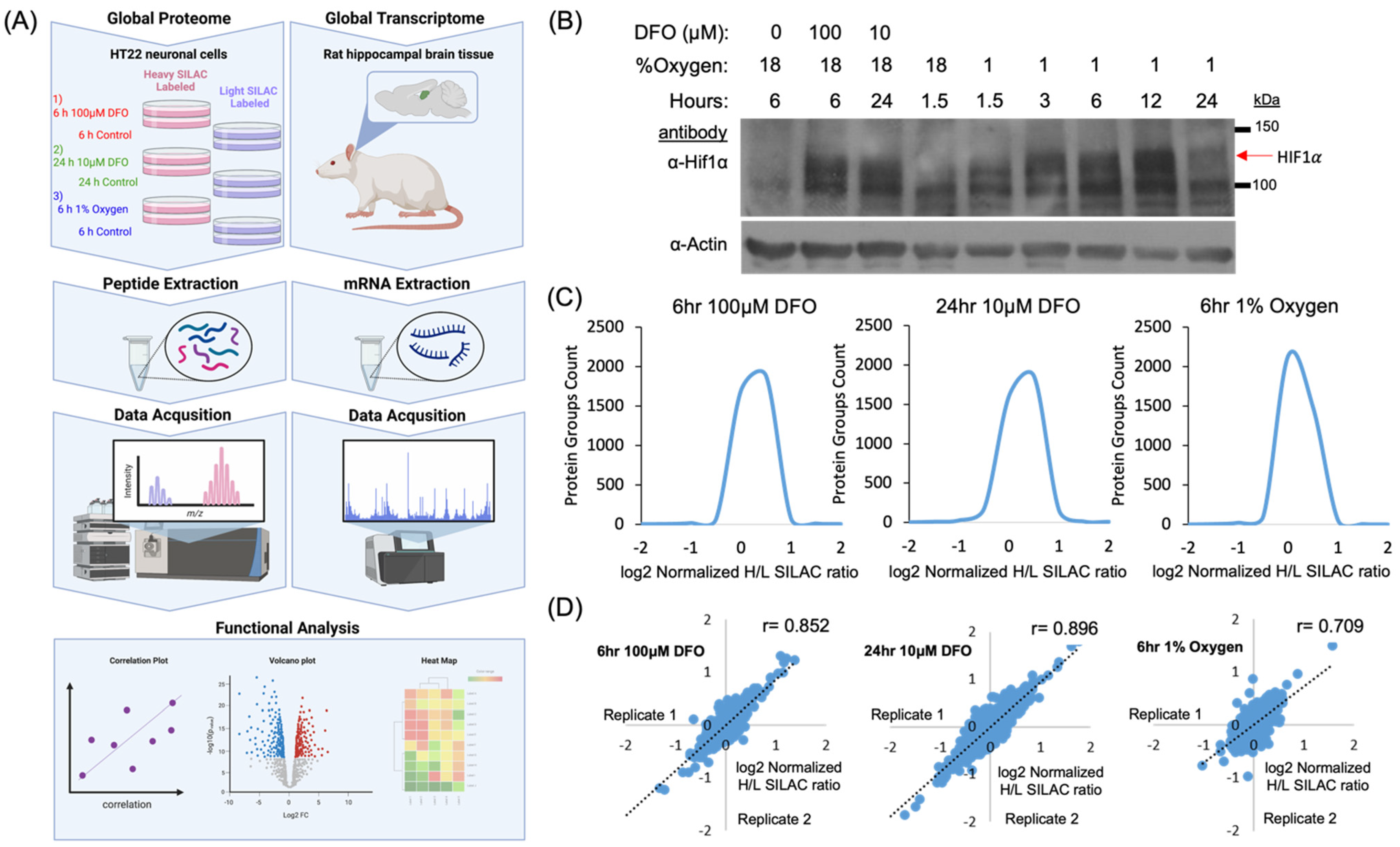 Molecules 27 00484 g001