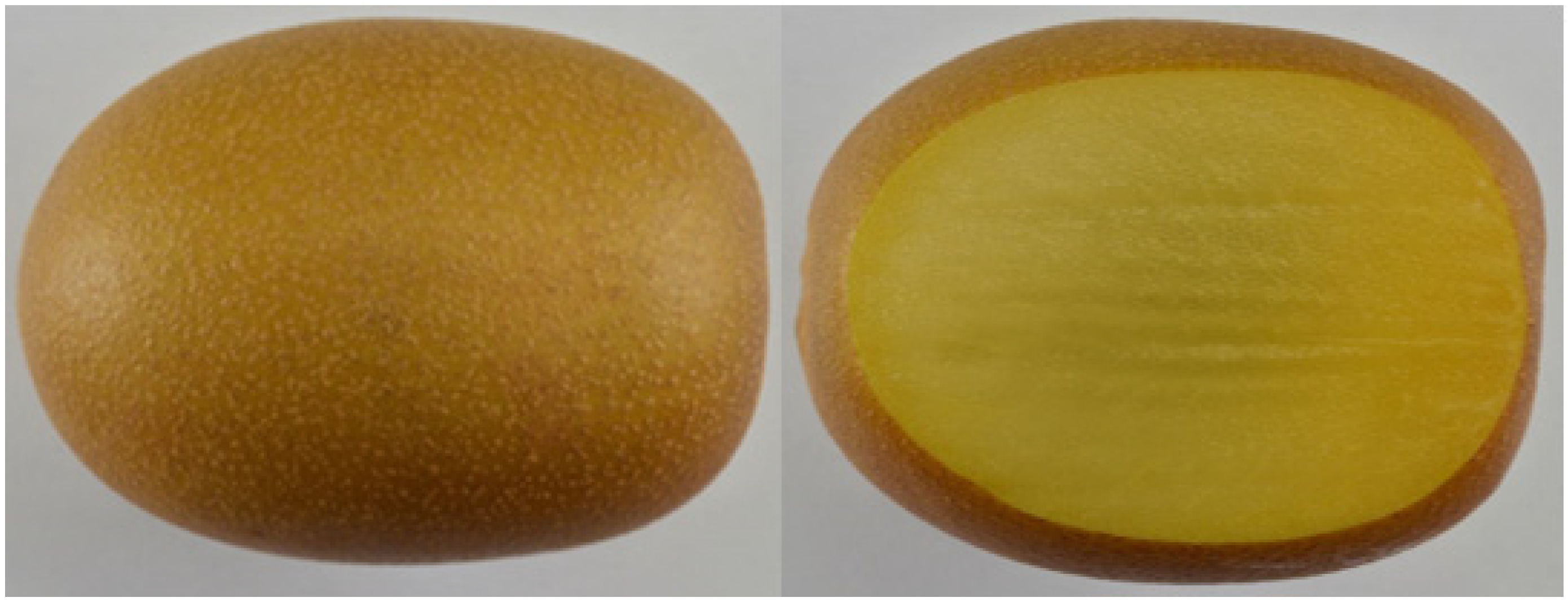 Molecules 27 00494 g001 550