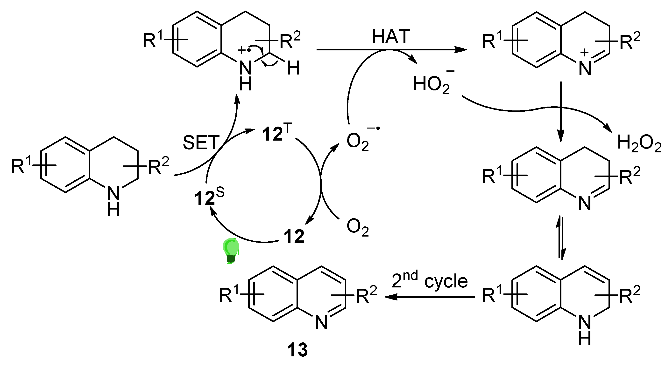 Molecules 27 00497 sch008 550